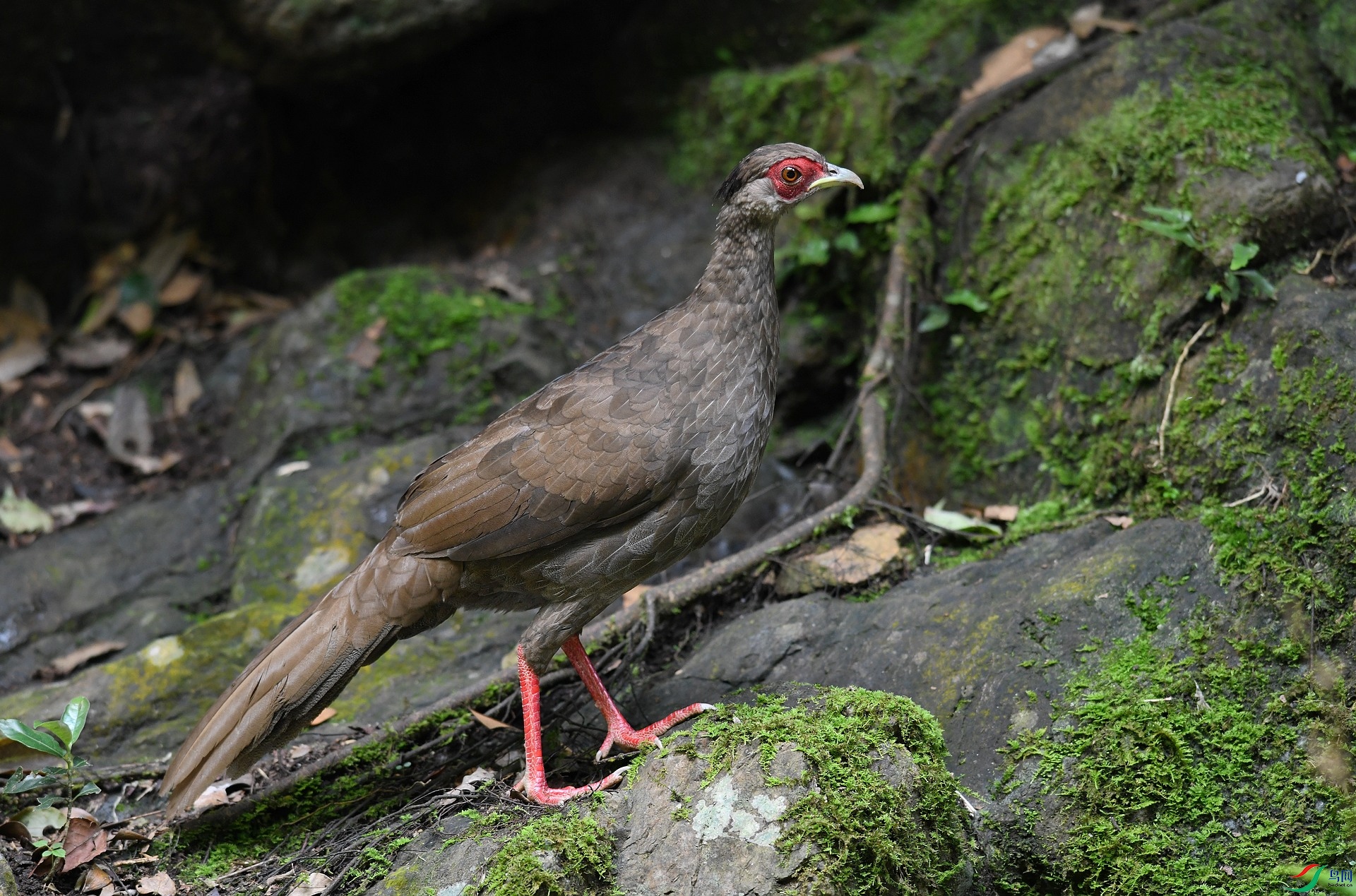 DSC_3992.jpg