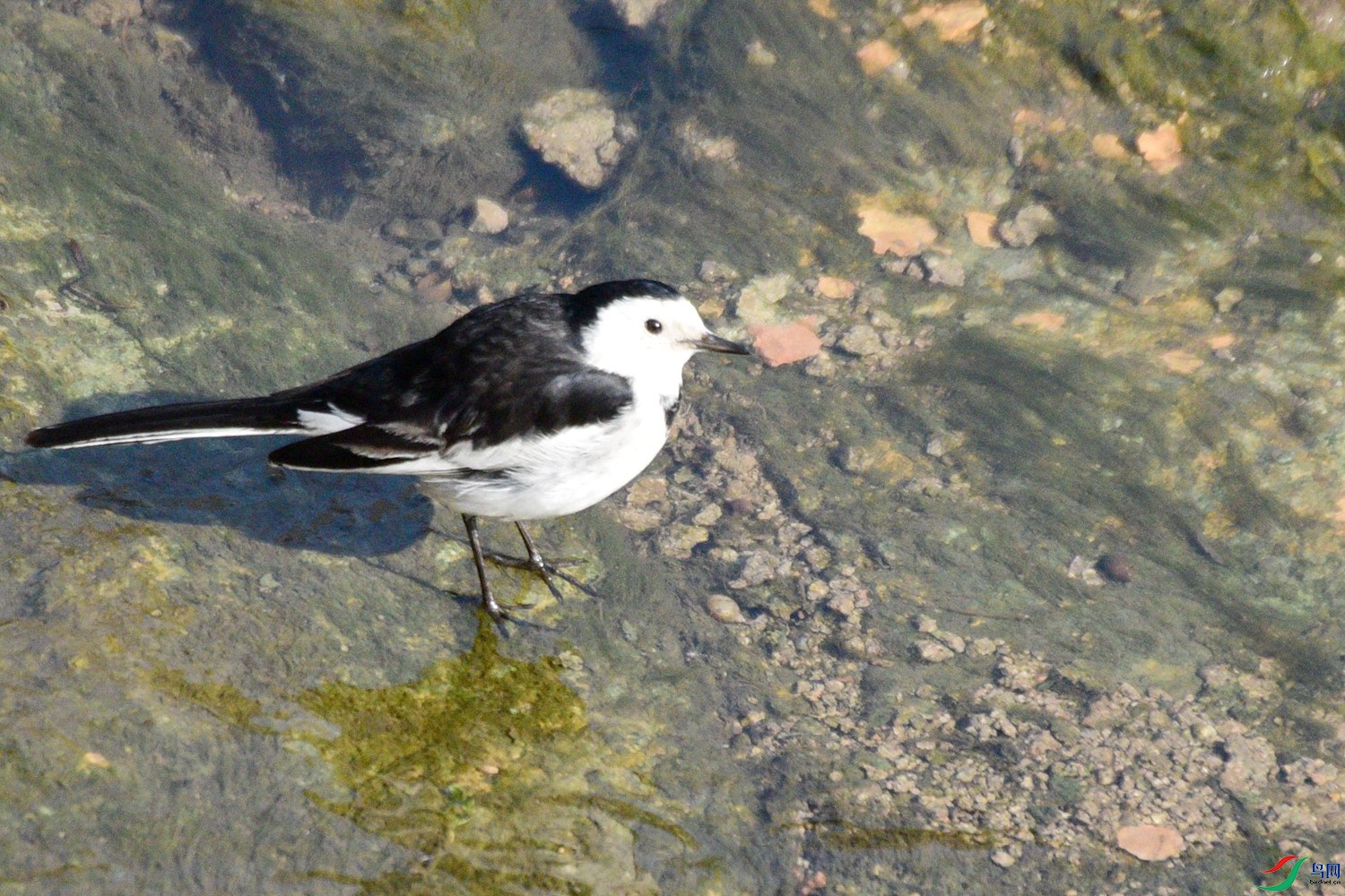 DSC_3942.JPG