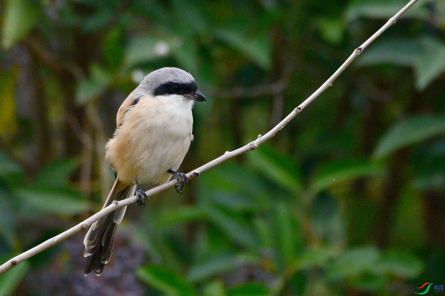 DSC_3564.JPG