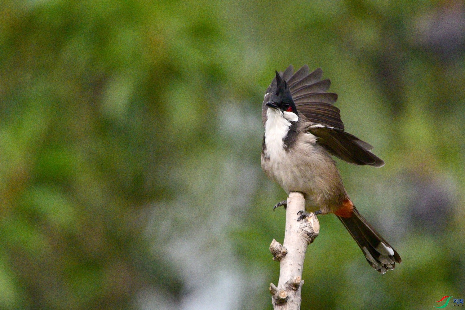 DSC_3661.JPG