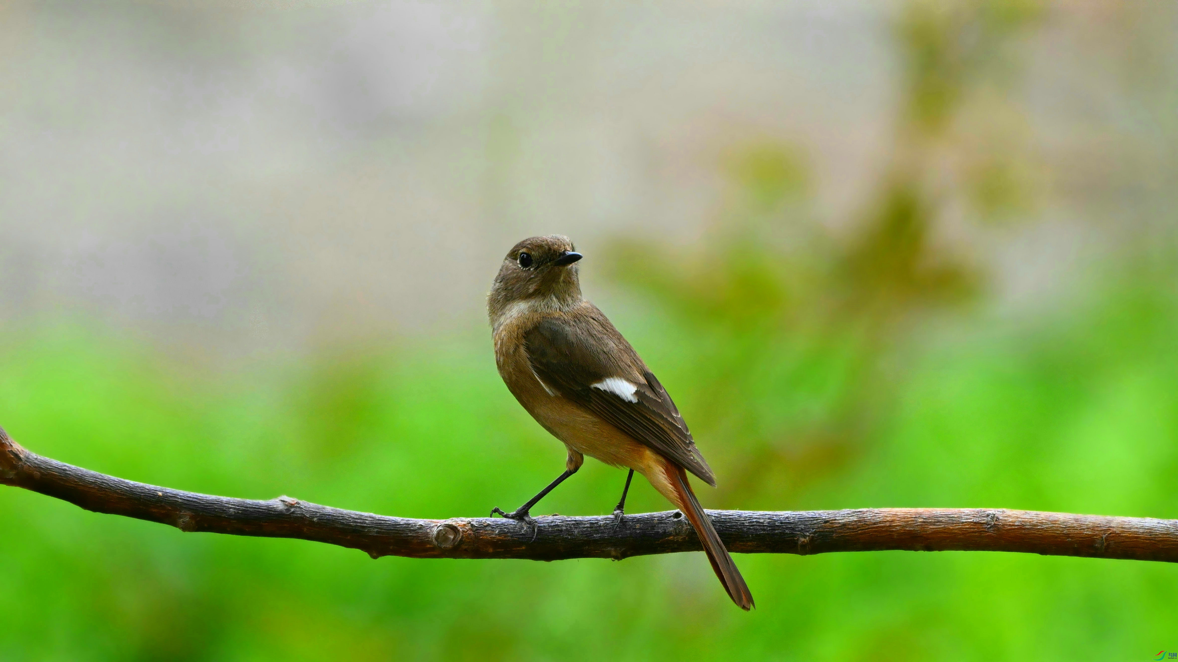 DSC_8922.JPG