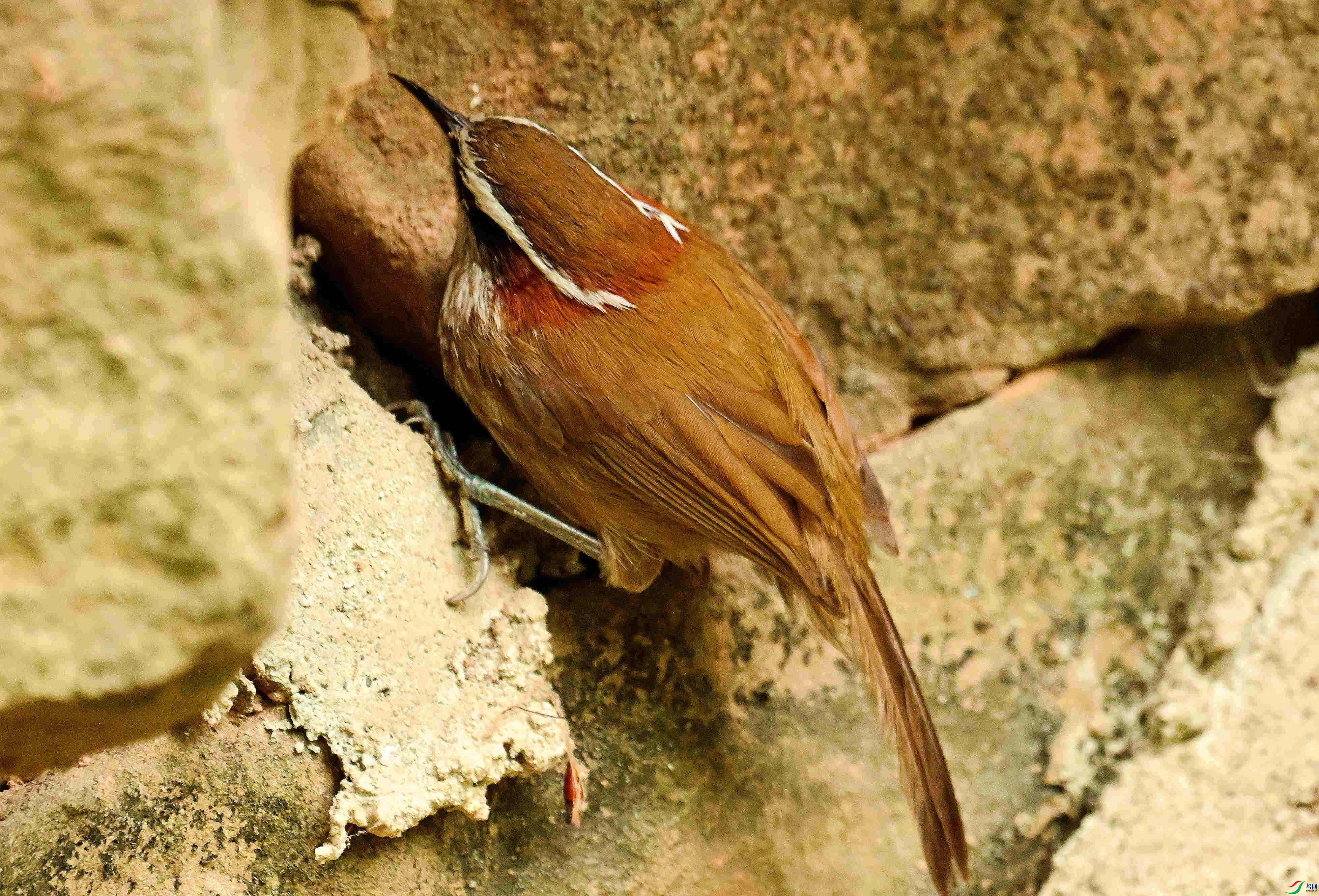 DSC_9213.JPG