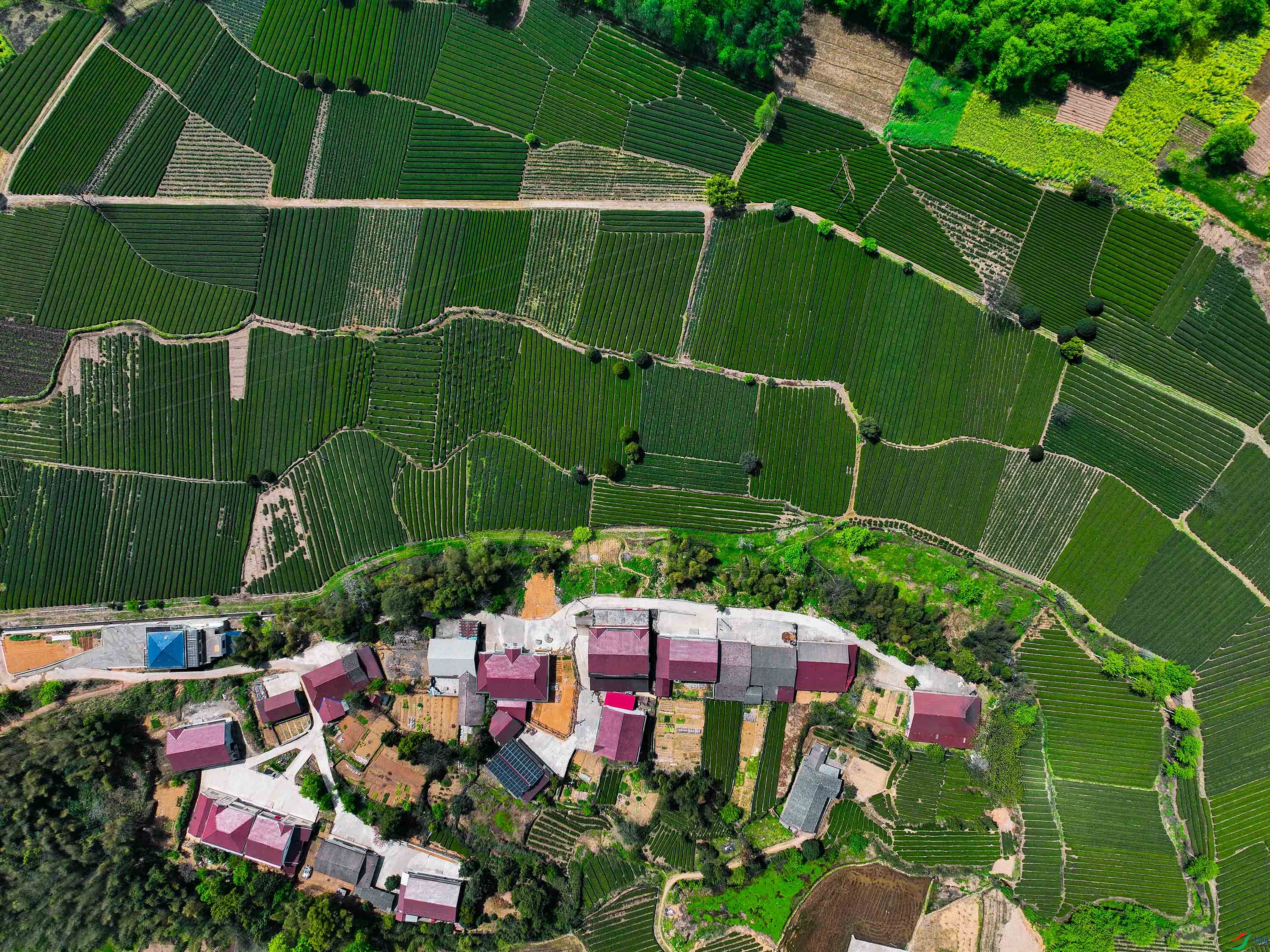 DJI_0020.jpg