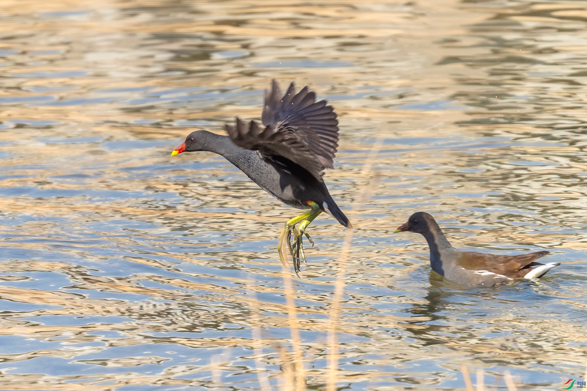 DSC_0542.jpg