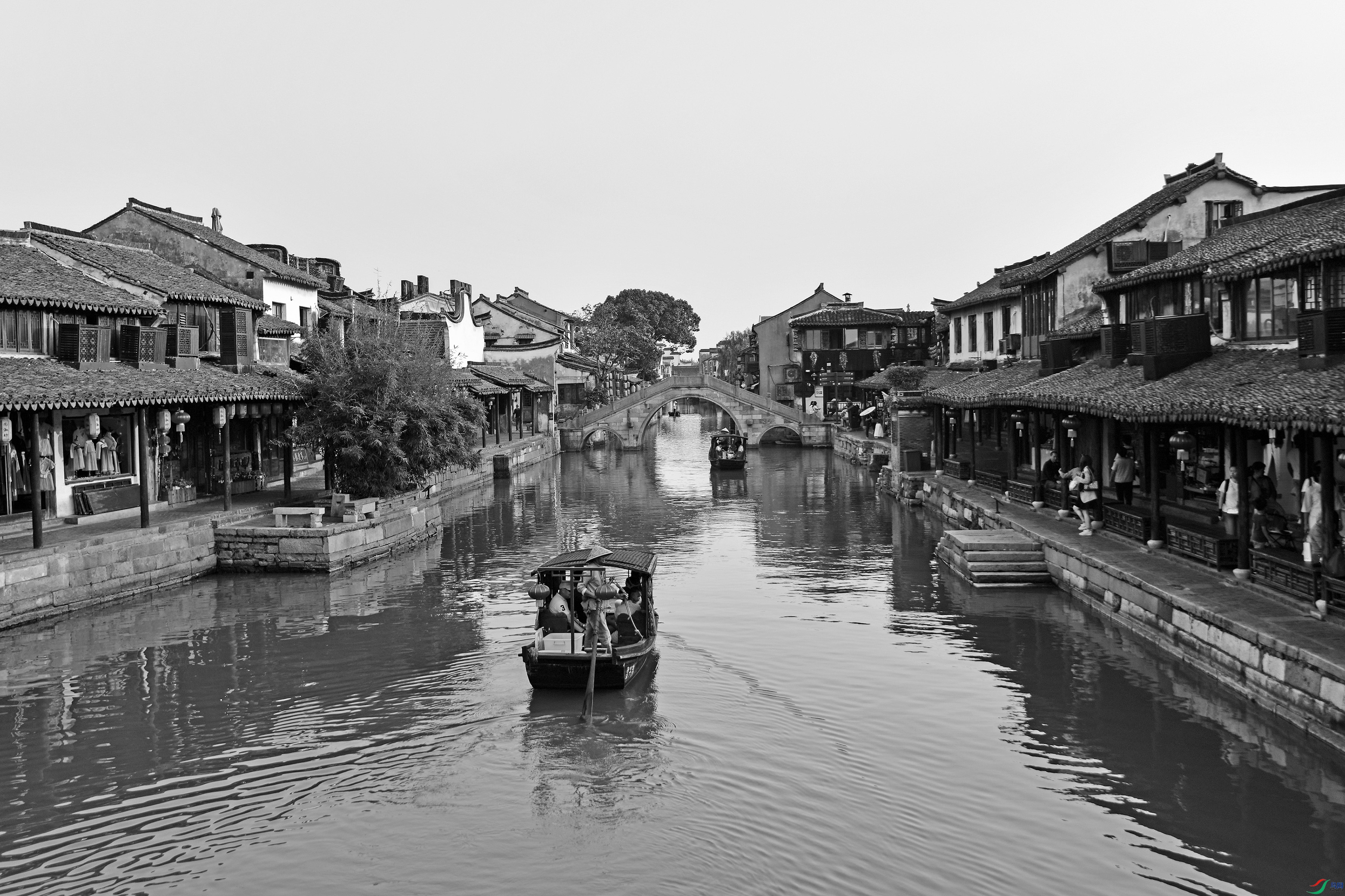 DSC_8963.jpg