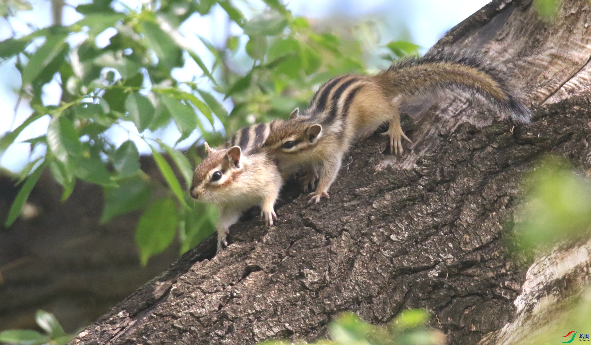 0G1A1397 ����.jpg