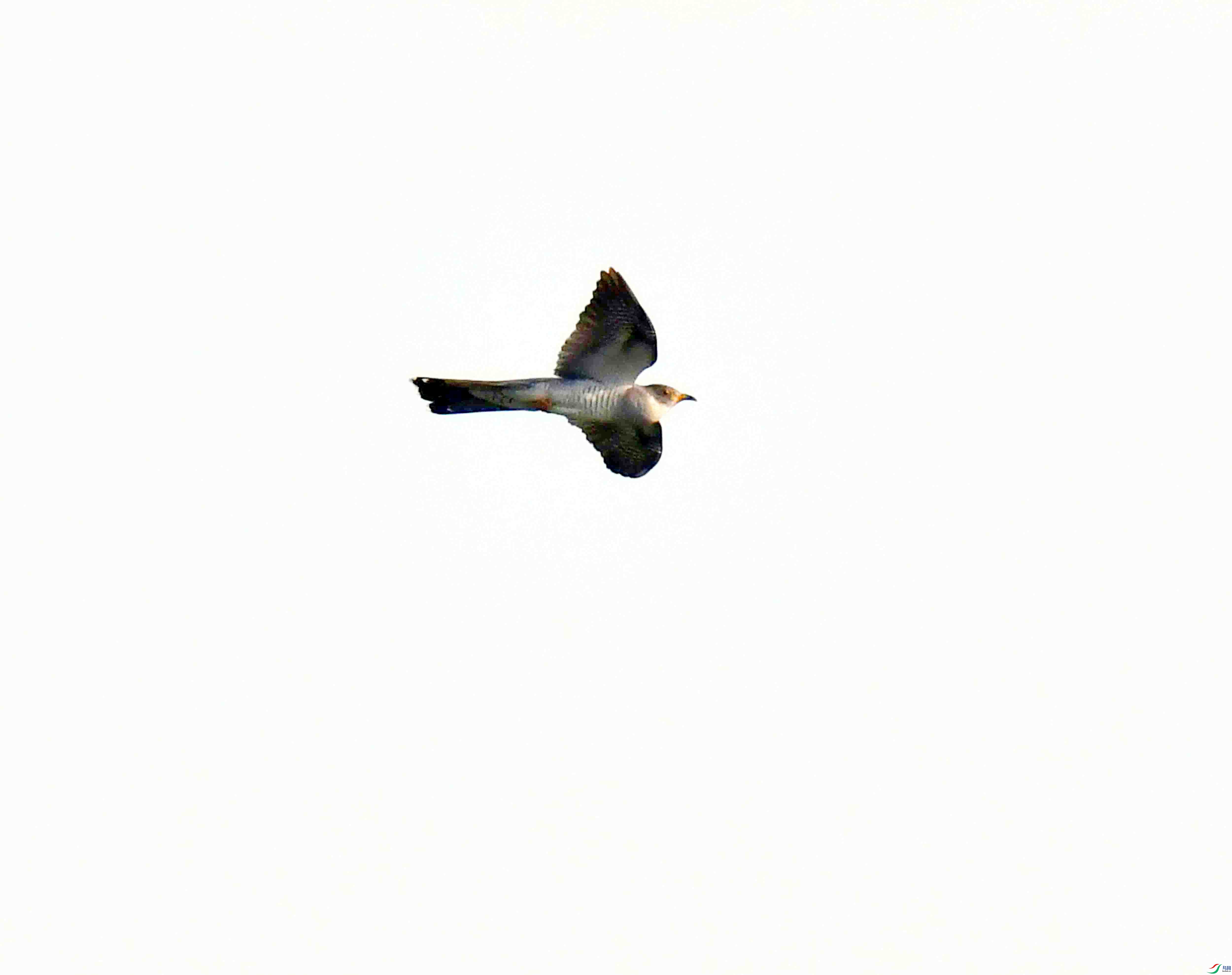 DSC_6243.JPG
