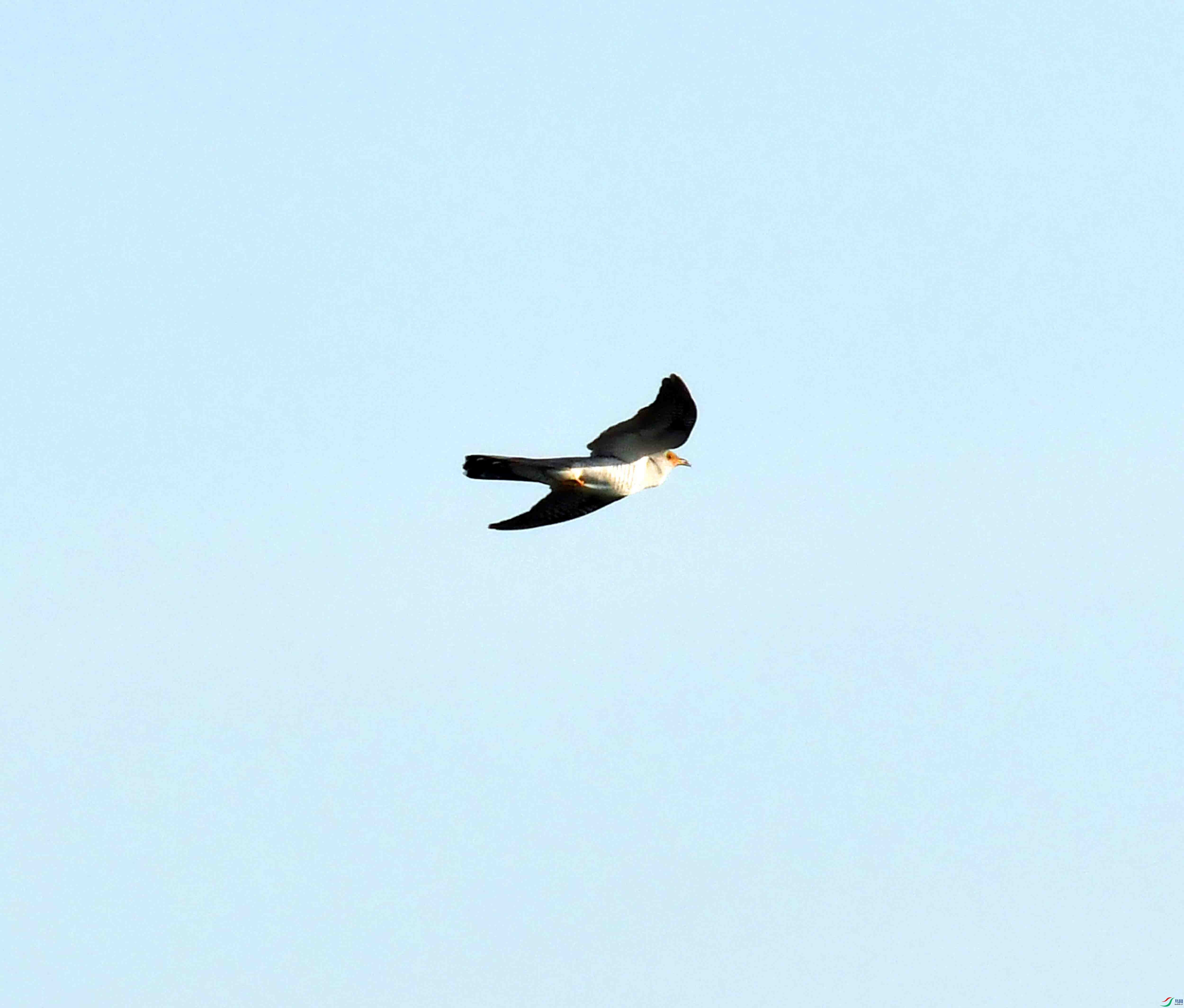 DSC_6246.JPG