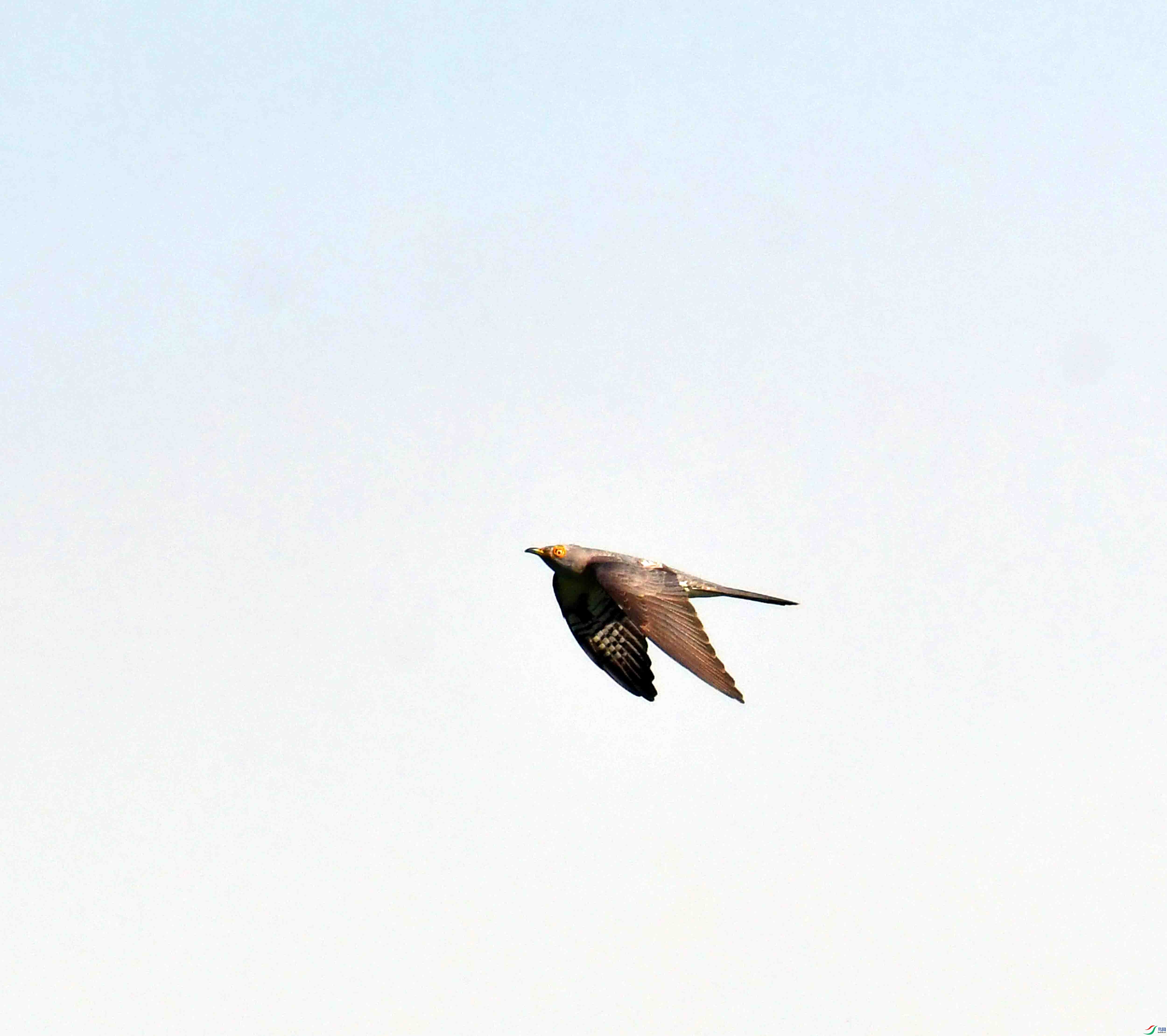 DSC_6361.JPG