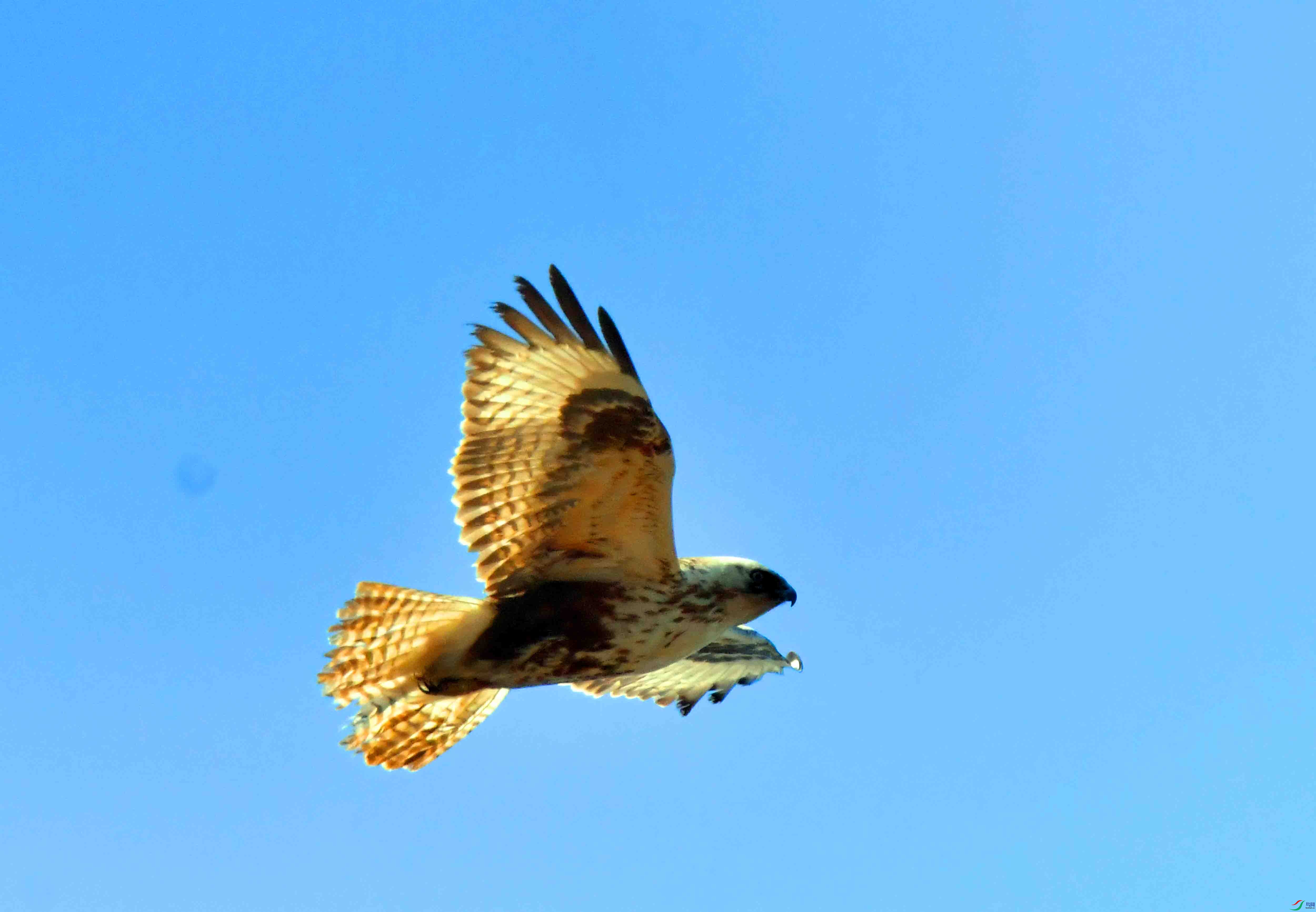 DSC_0915.JPG