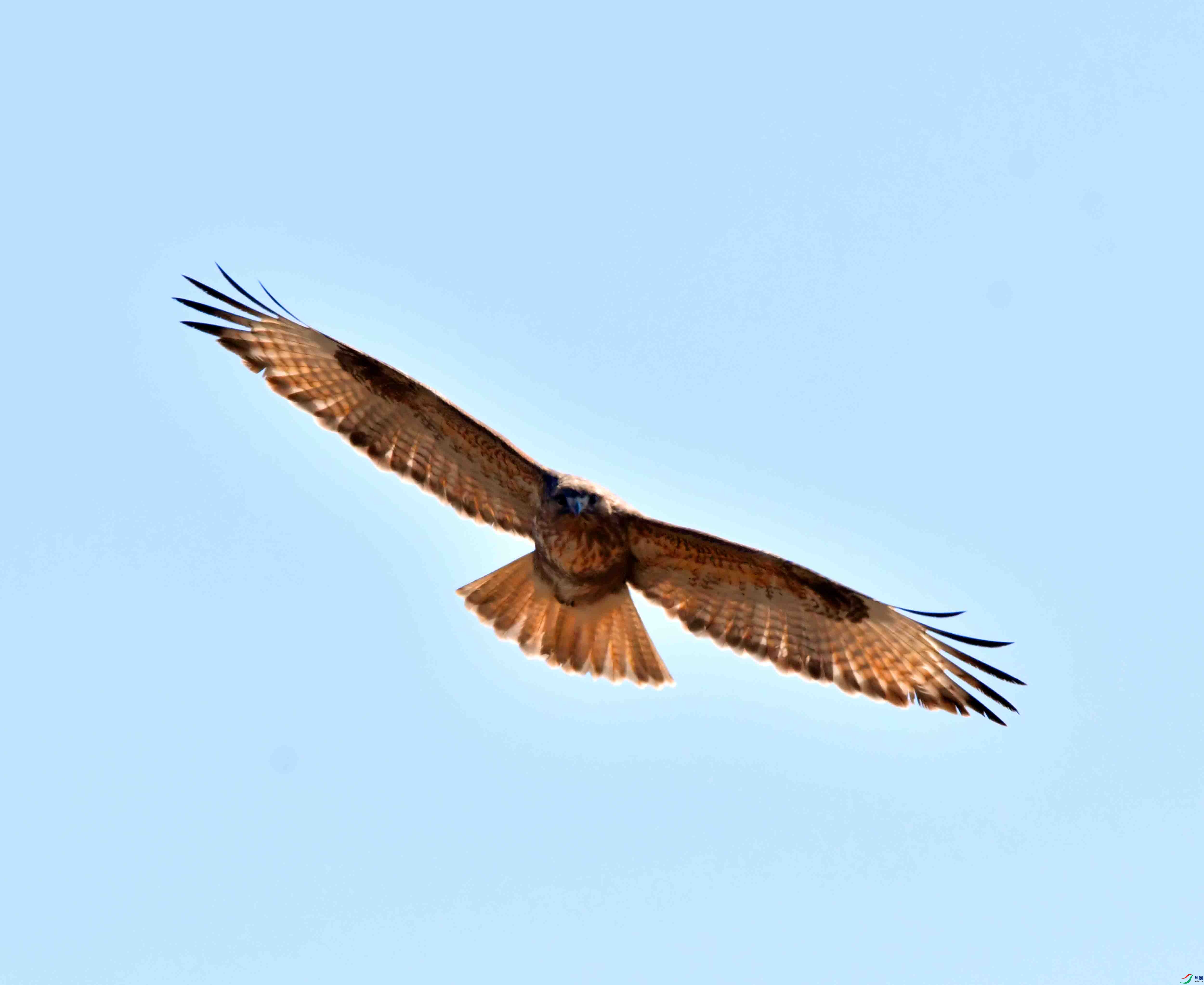 DSC_0940.JPG
