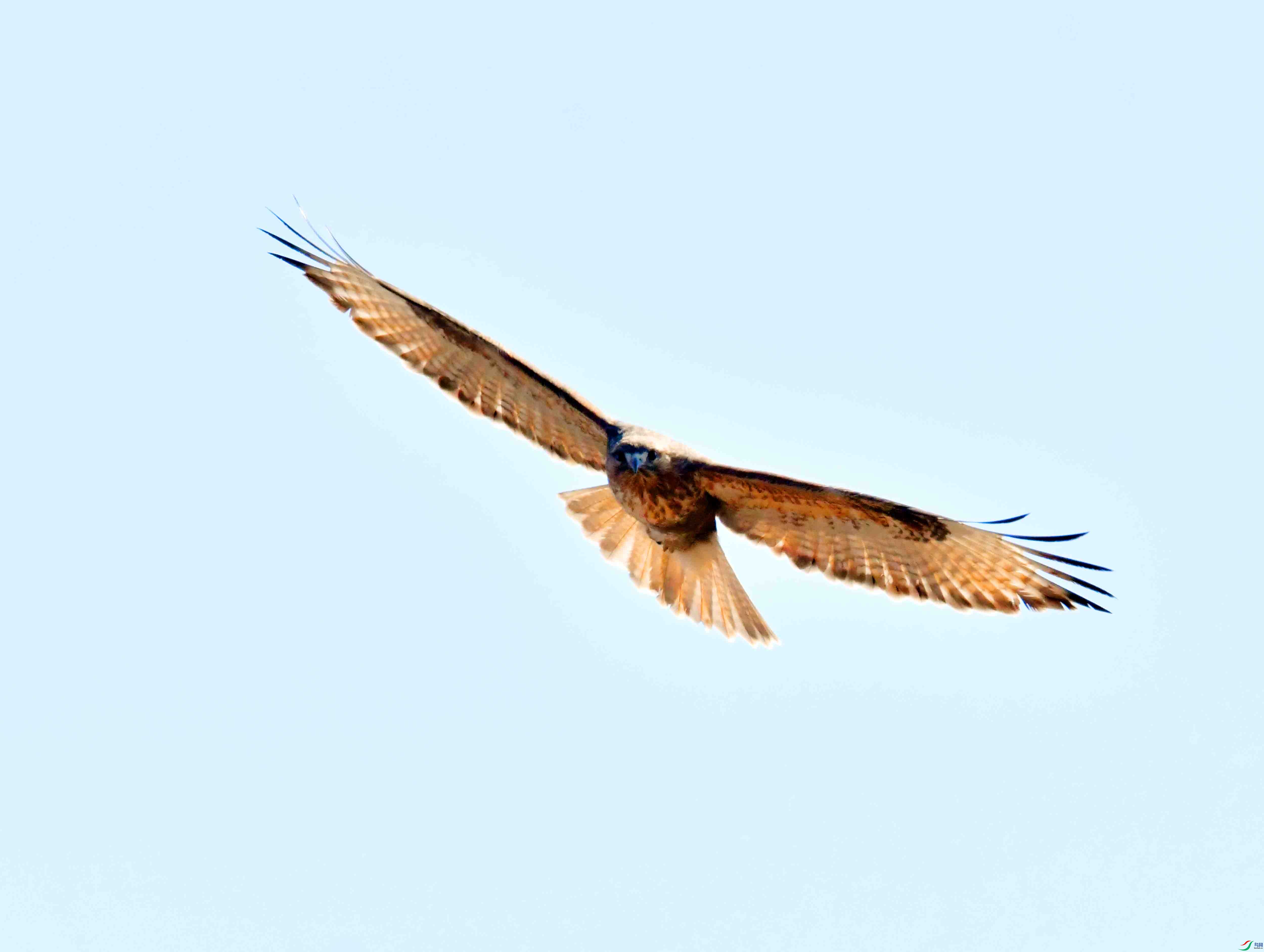 DSC_0958.JPG