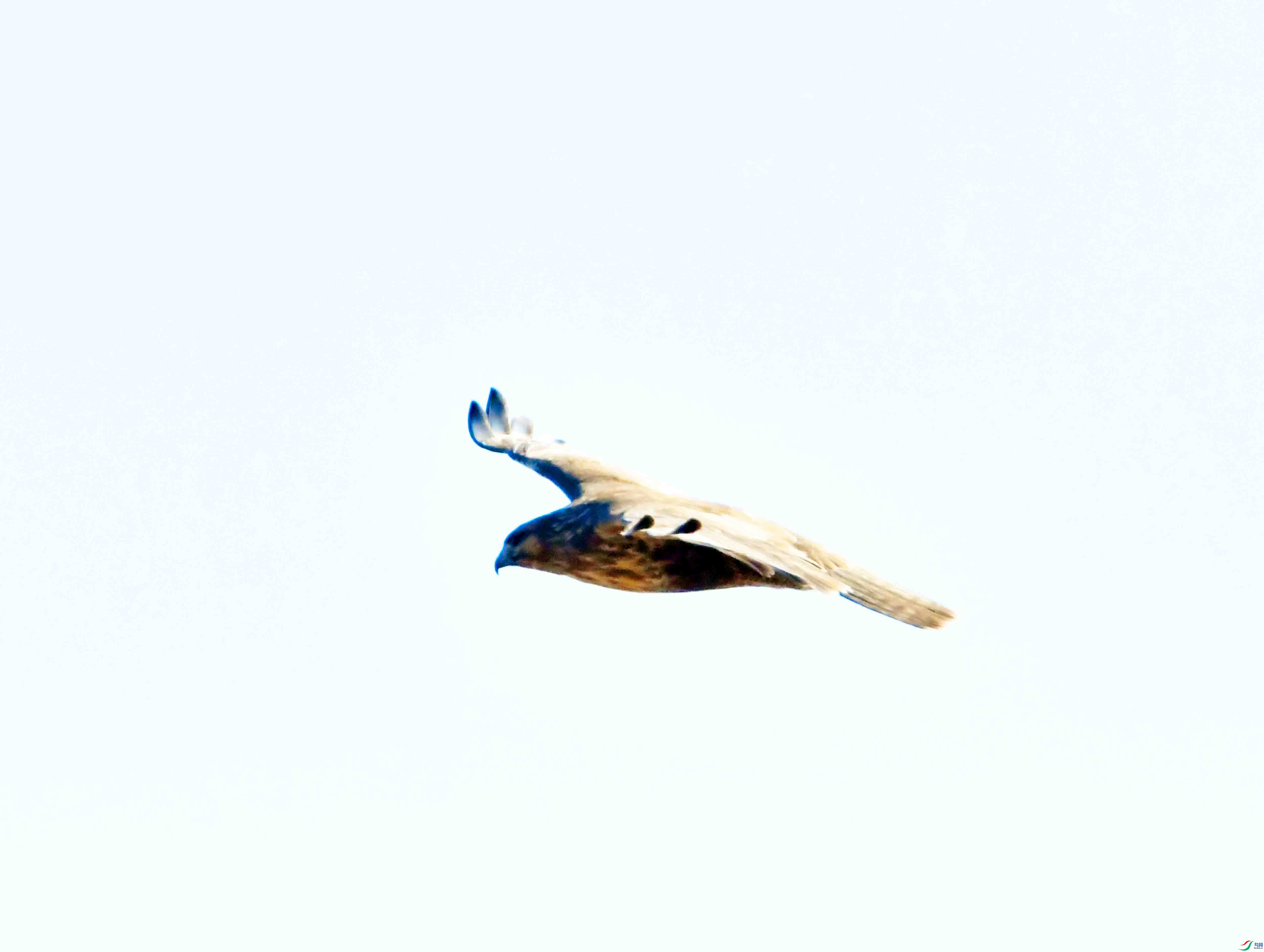 DSC_0956.JPG