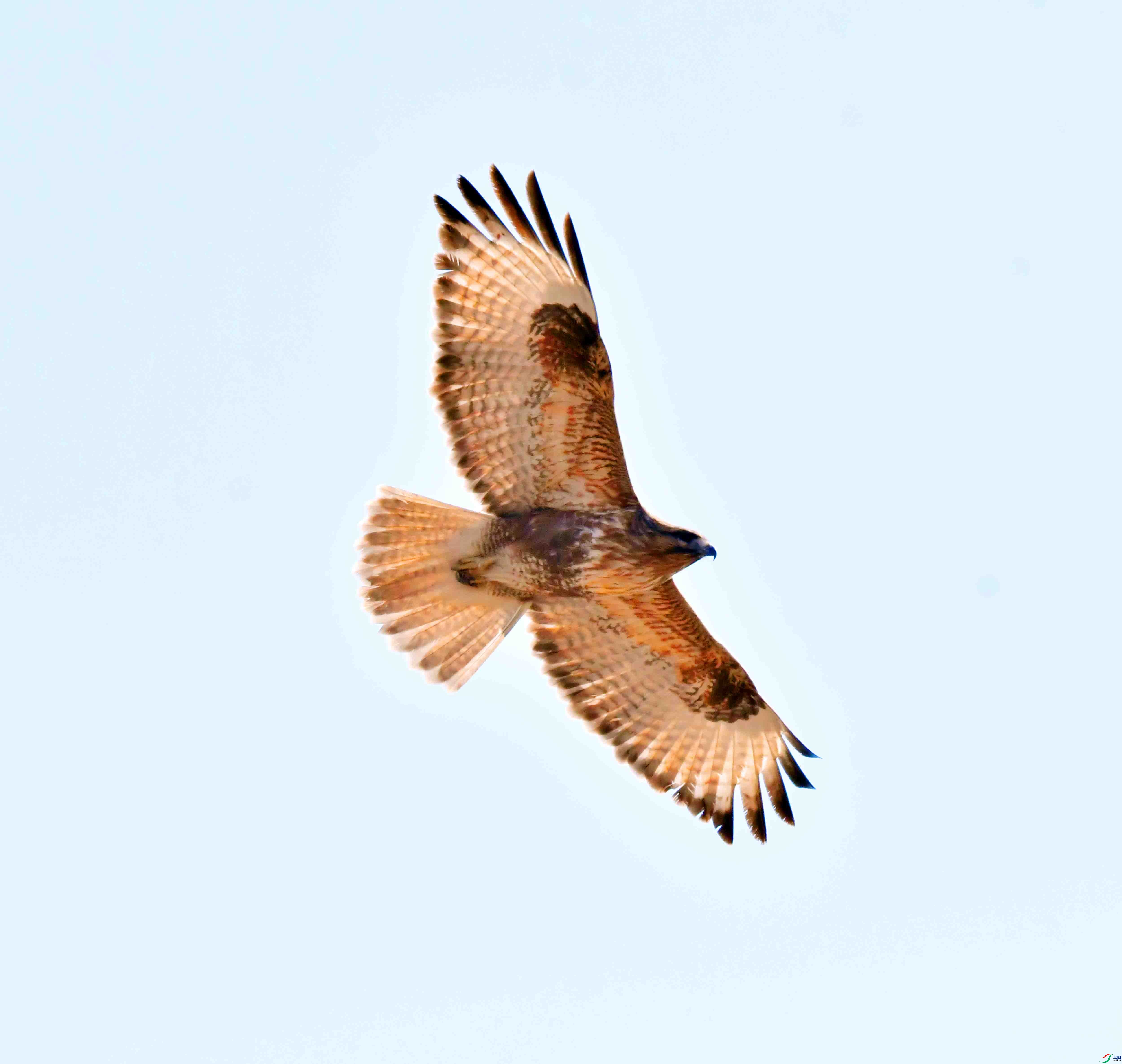 DSC_0964.JPG