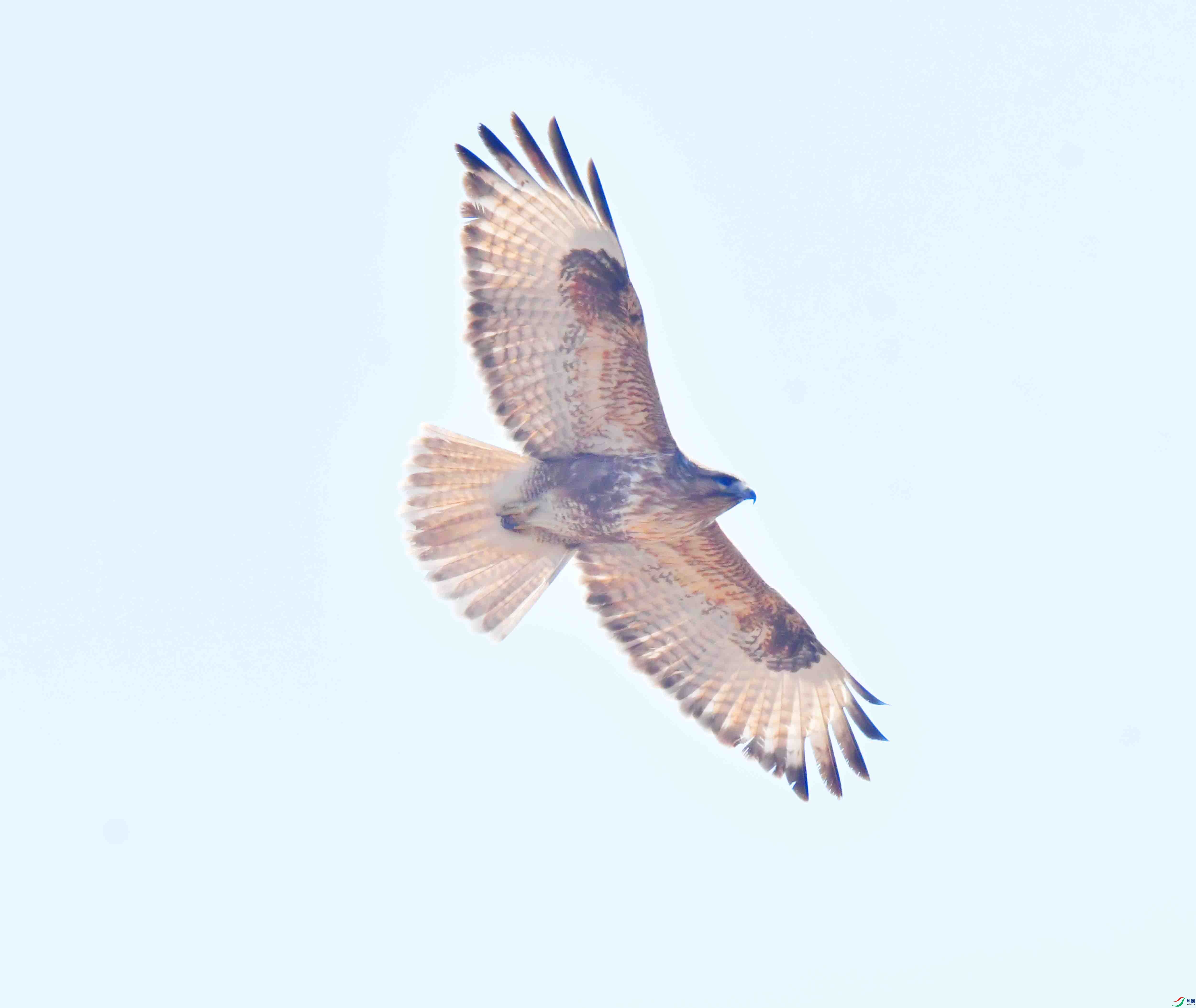 DSC_0963.JPG