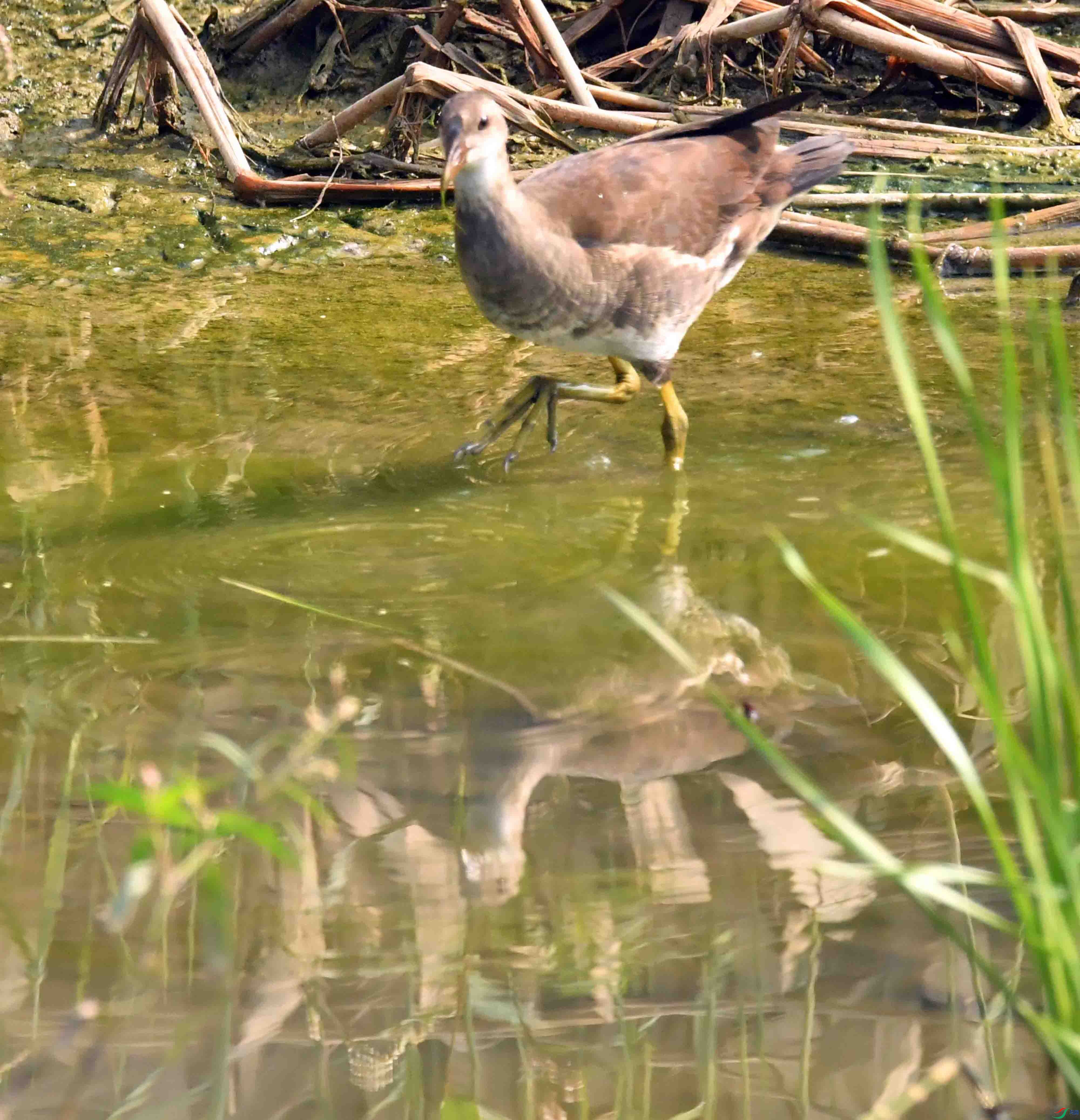 DSC_2284.JPG