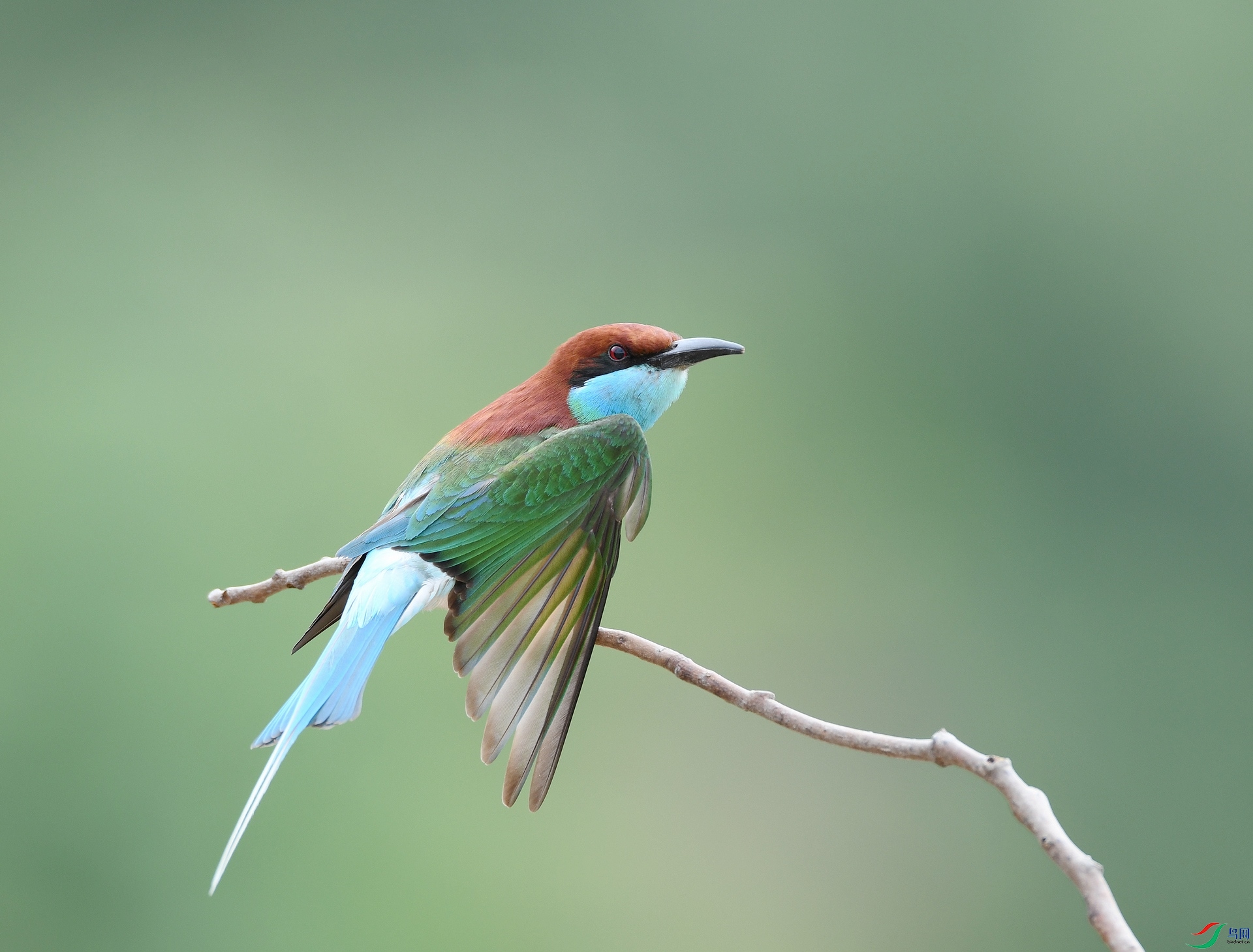 DSC_2236.jpg