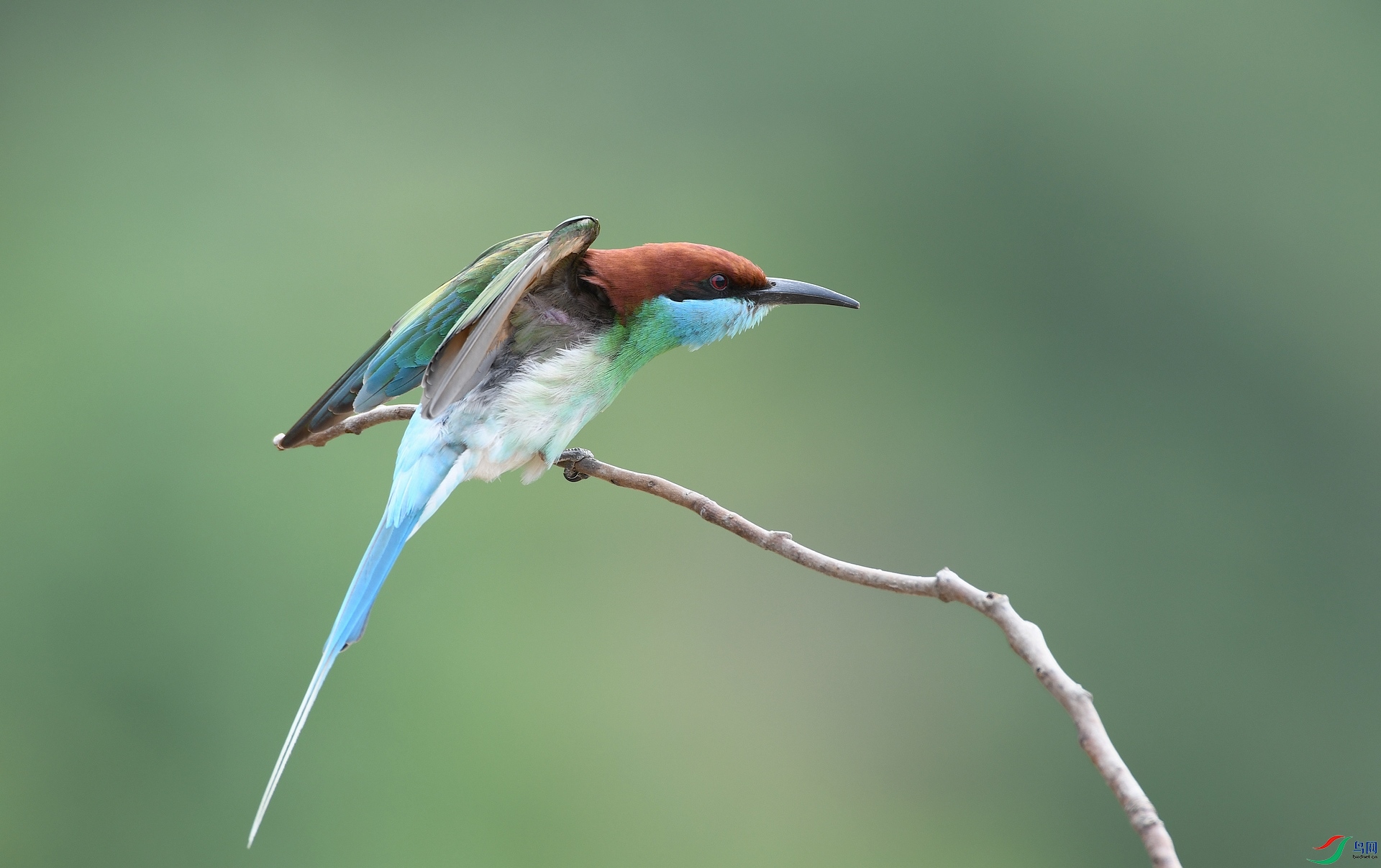 DSC_2237.jpg