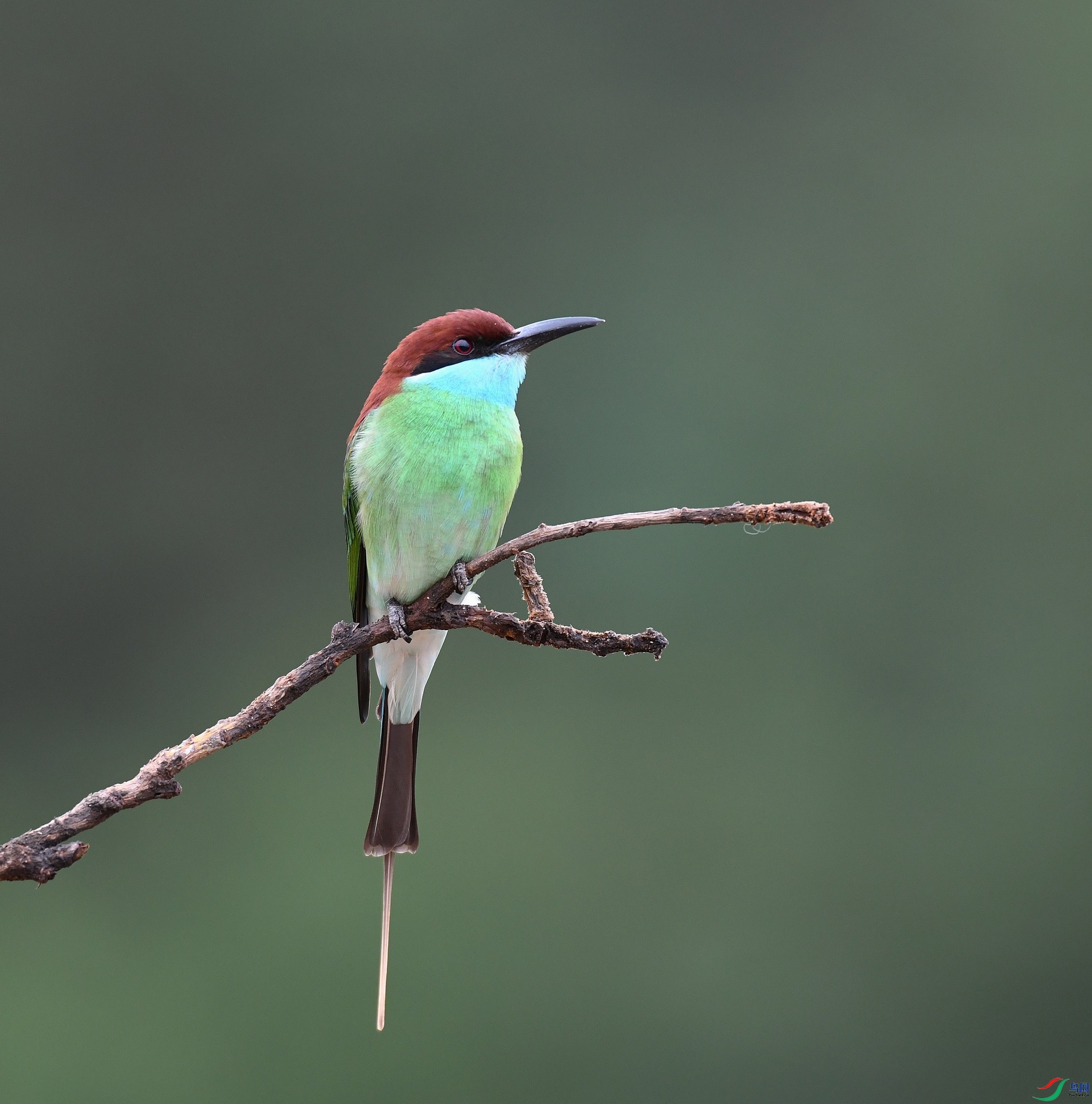 DSC_3101.jpg