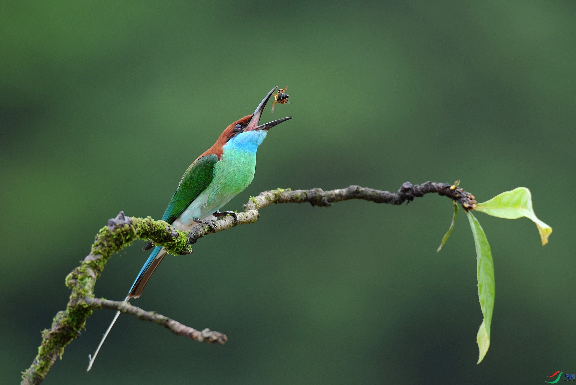 DSC_3062.jpg