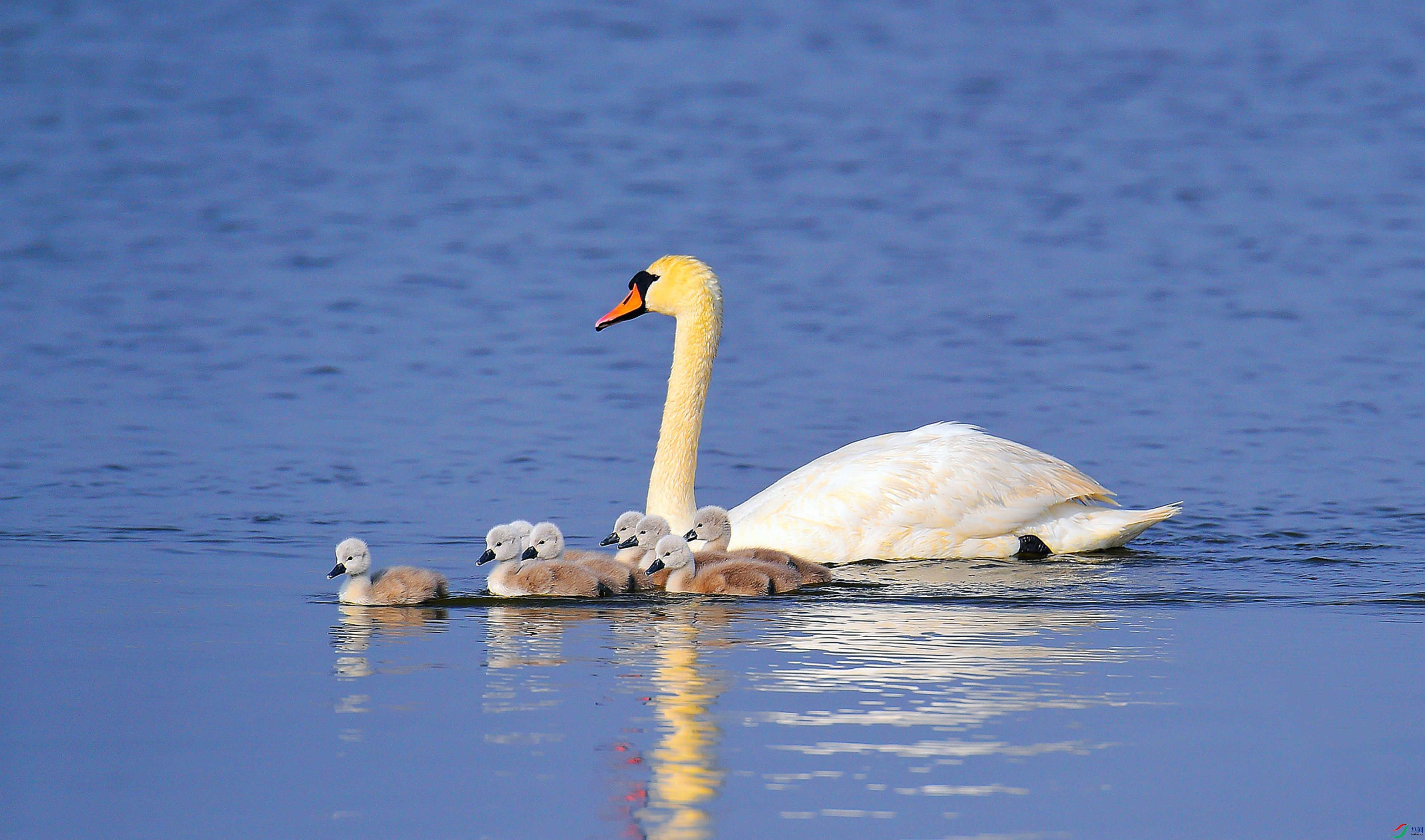 YJY_1914_����_���� ����.jpg