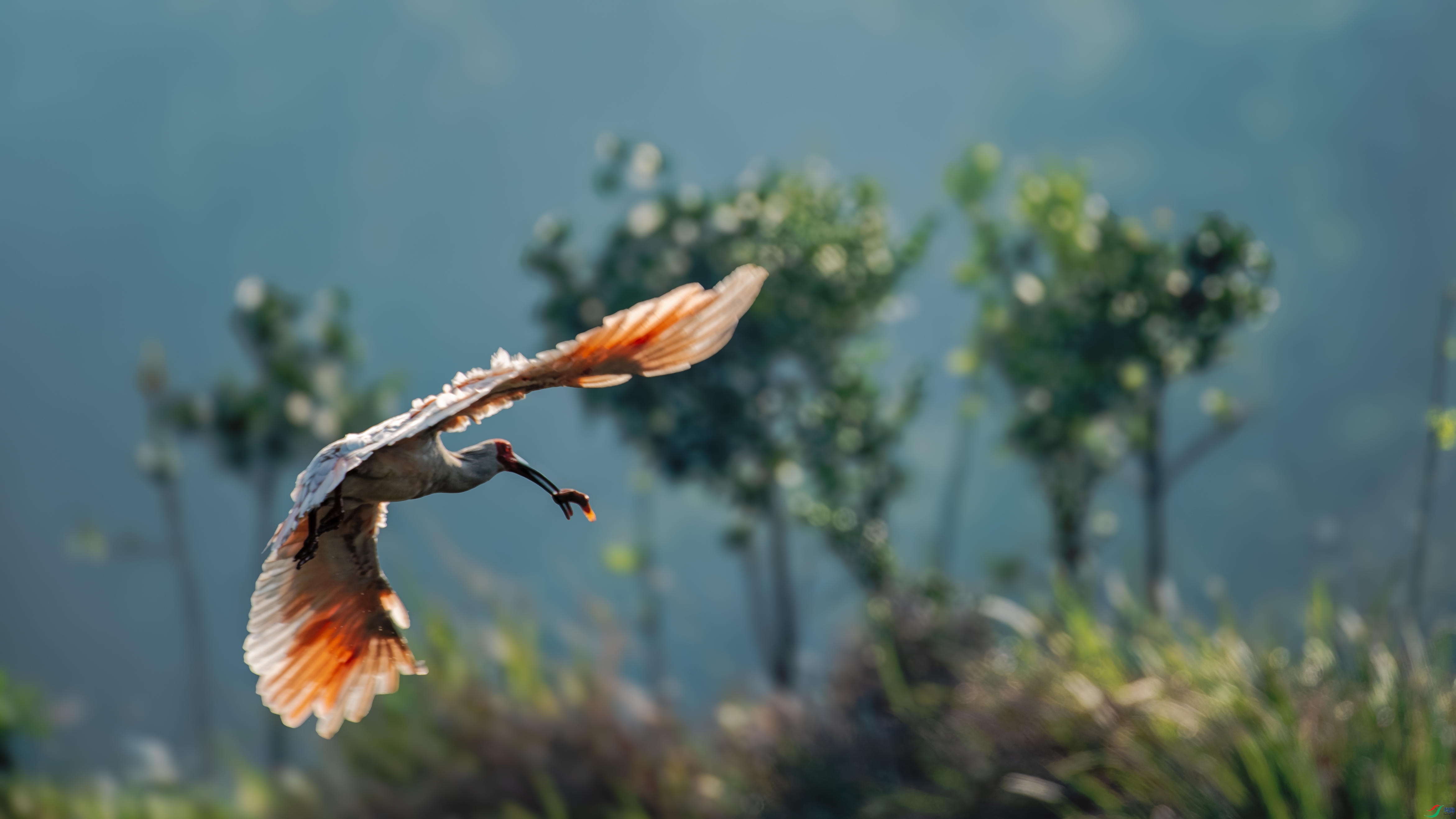 _DSC3271_DxO_DxO.jpg