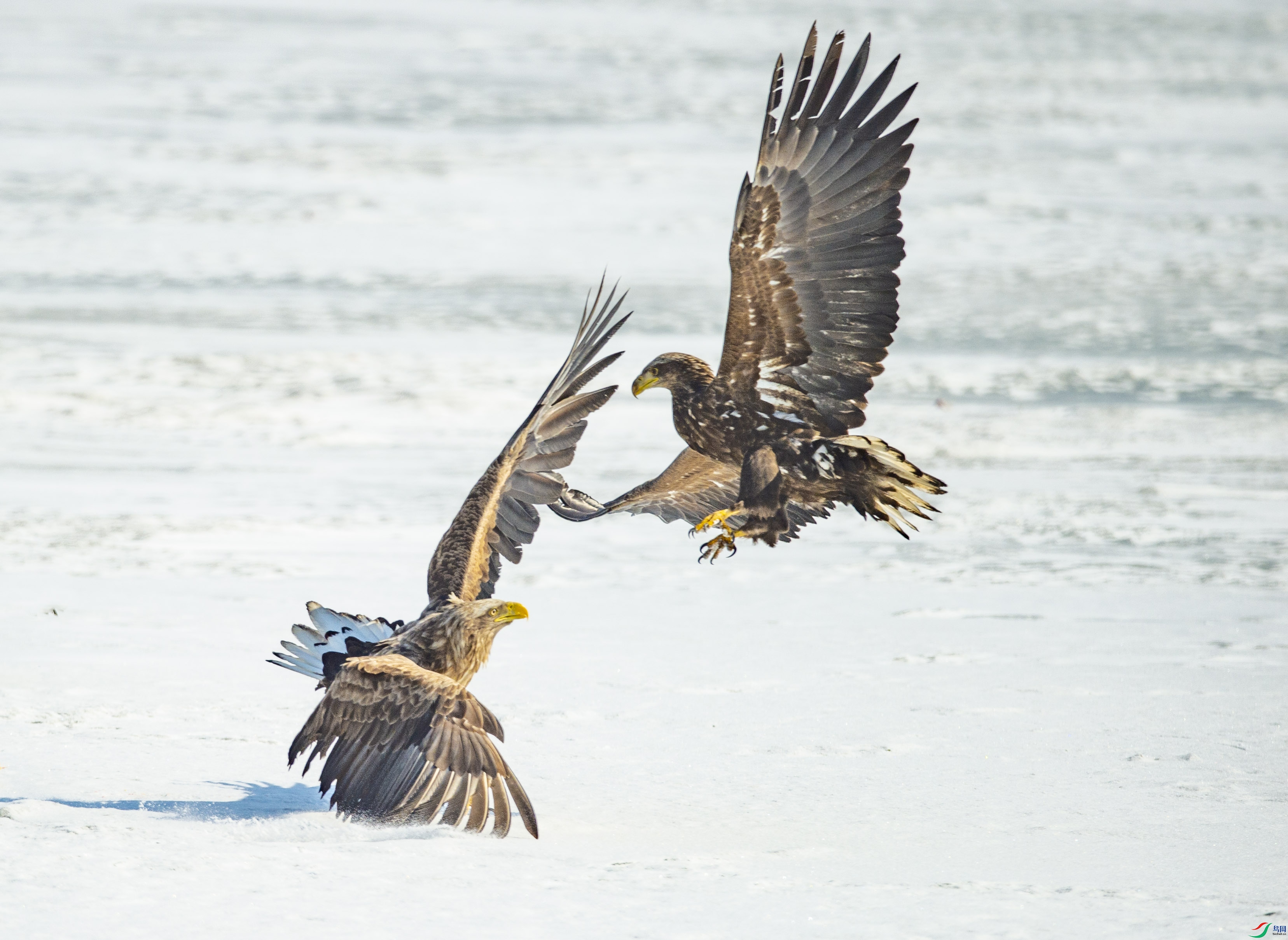 _DSC3538.jpg