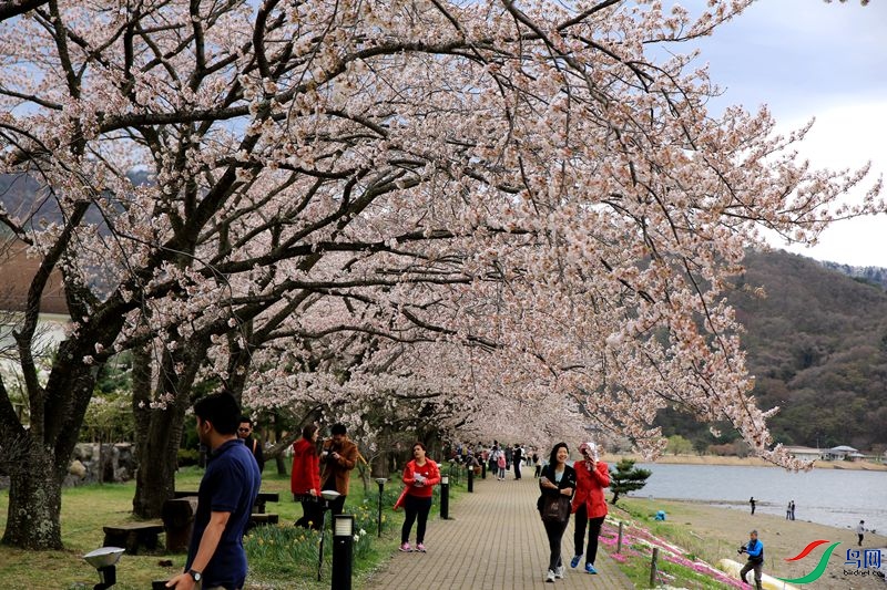 �ͻ�2.jpg
