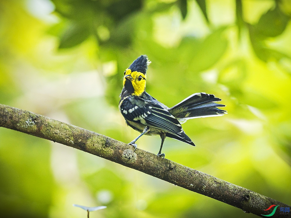 _L4I1730�Ƽ�ɽȸ-Ū�� ����.jpg