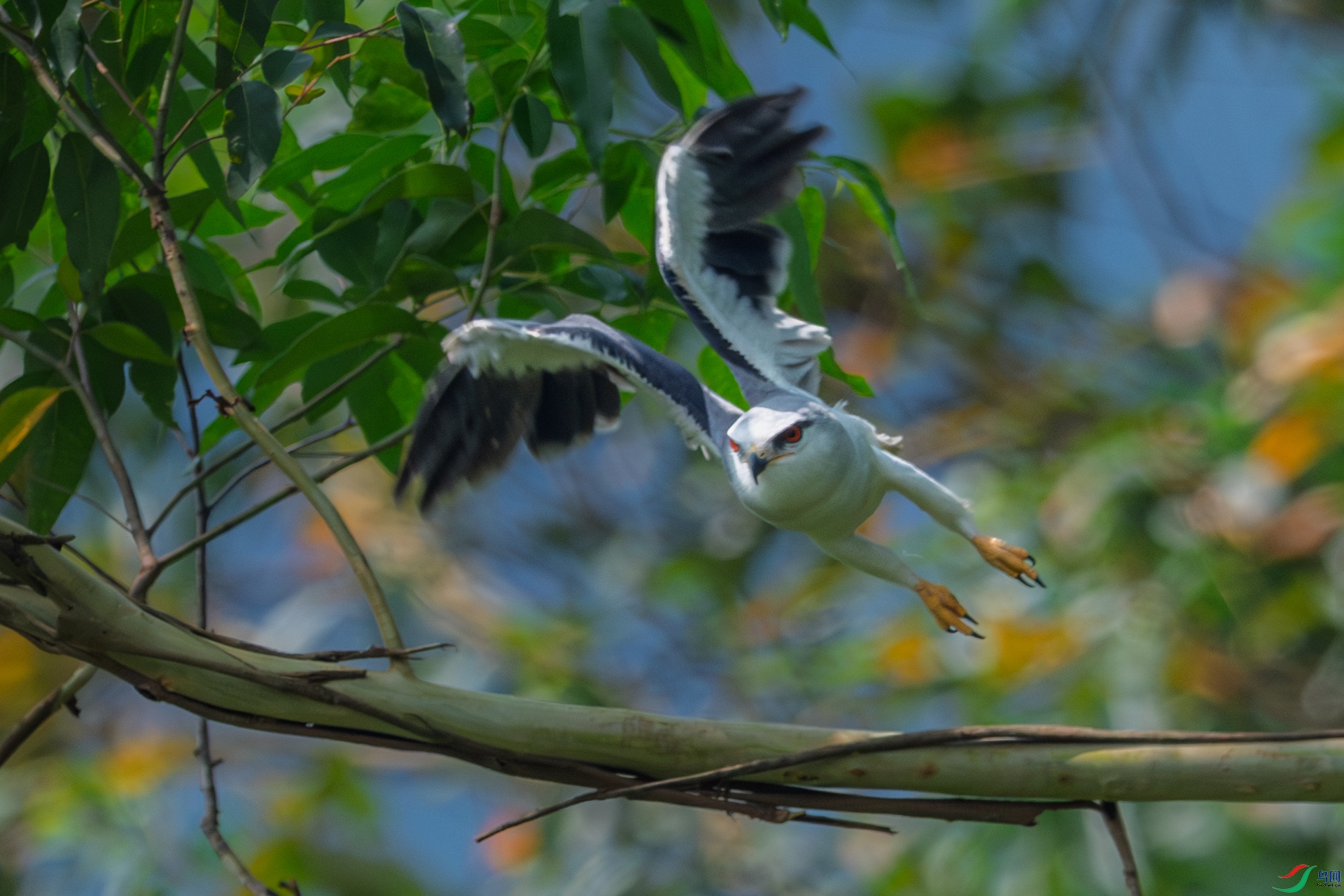 DSC_3949_1.JPG
