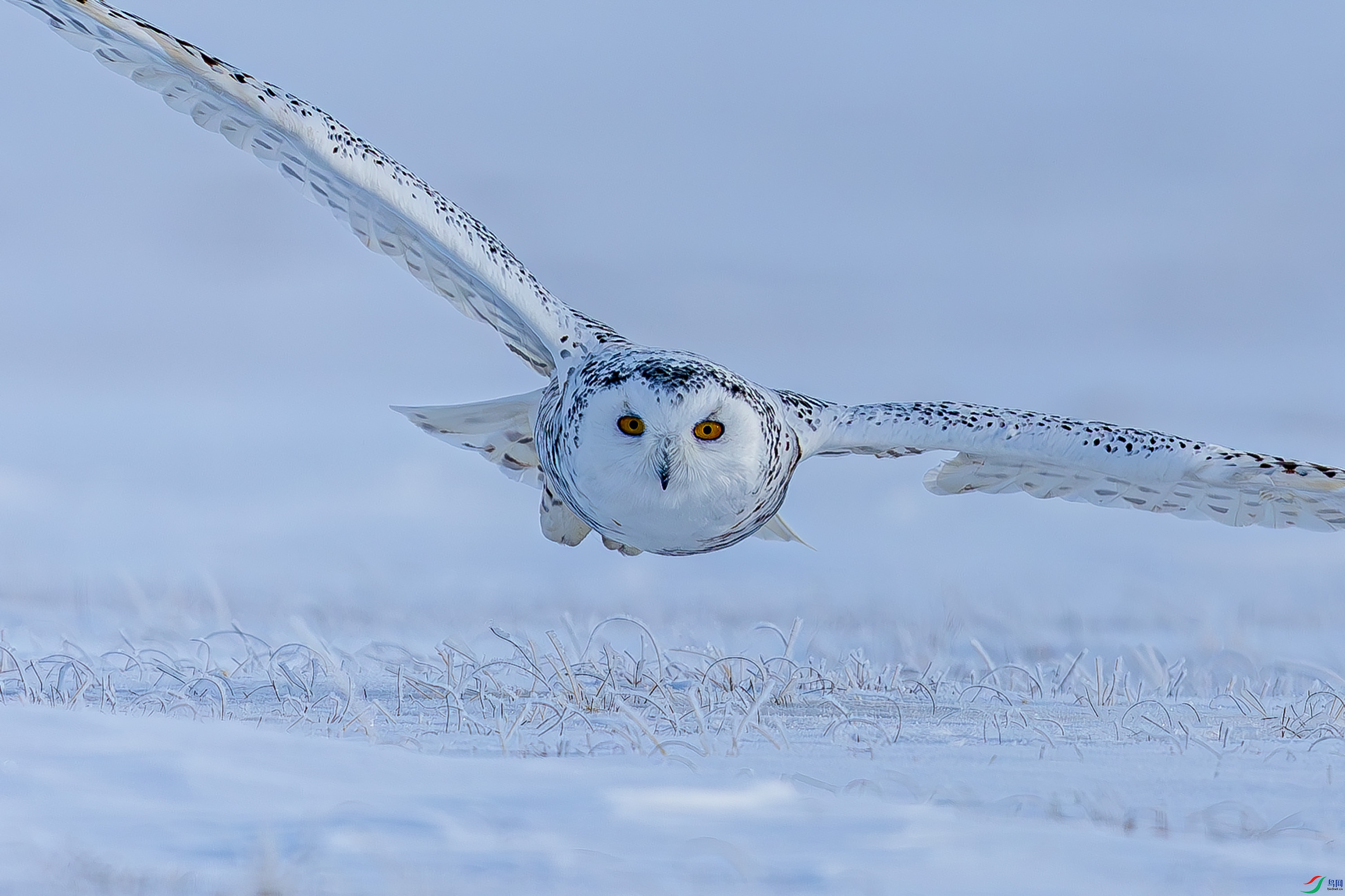 _72A2888-����ǿ-NR.JPG