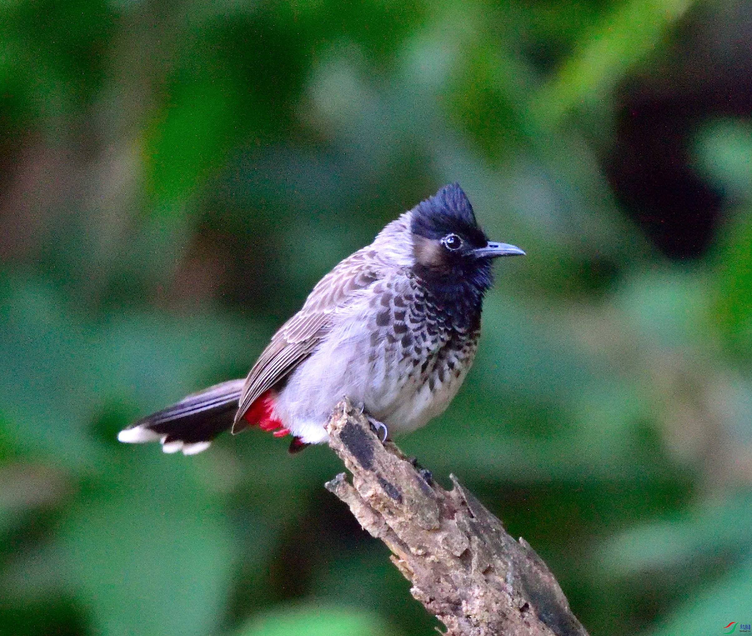 DSC_1912.JPG