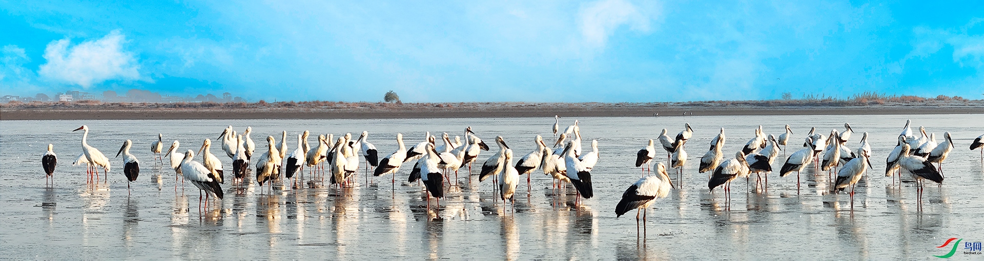 δ����_ȫ��ͼ-2 .jpg