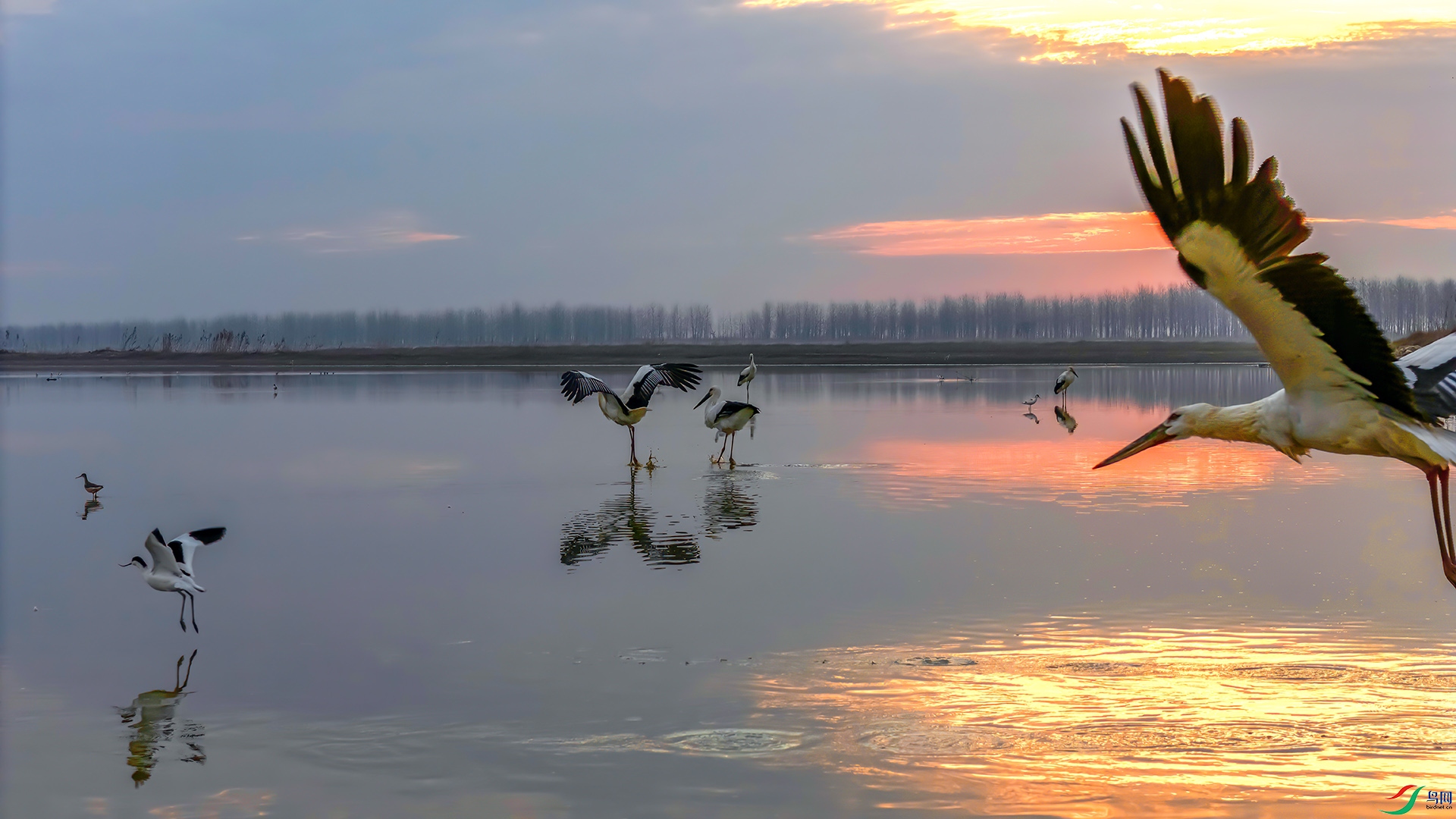 060A0412 2025010086_D ����-Sha---1 .jpg