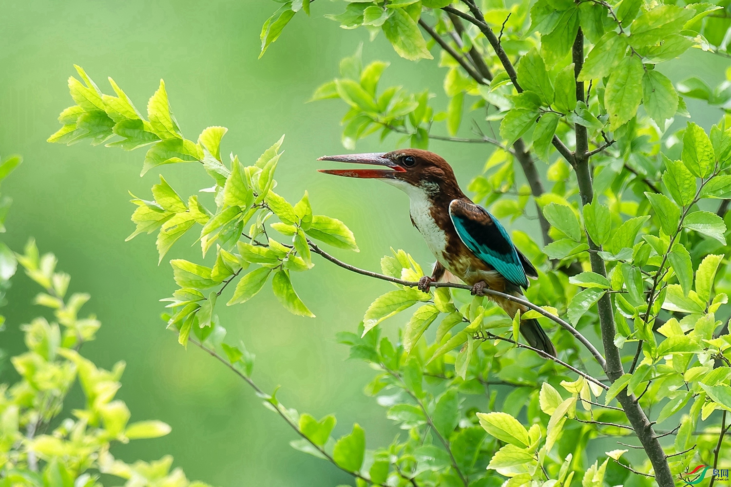 DSC_5994.jpg
