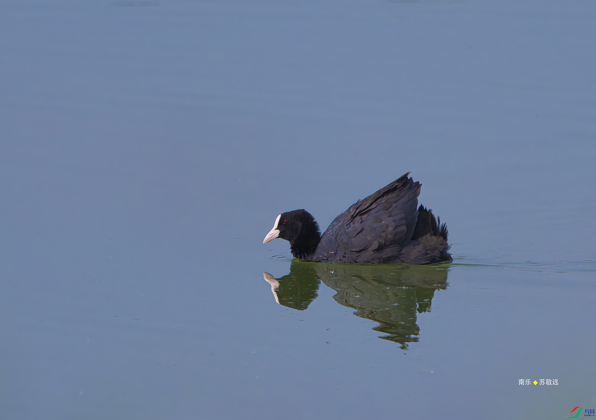 20250427-_DSC0259С.jpg