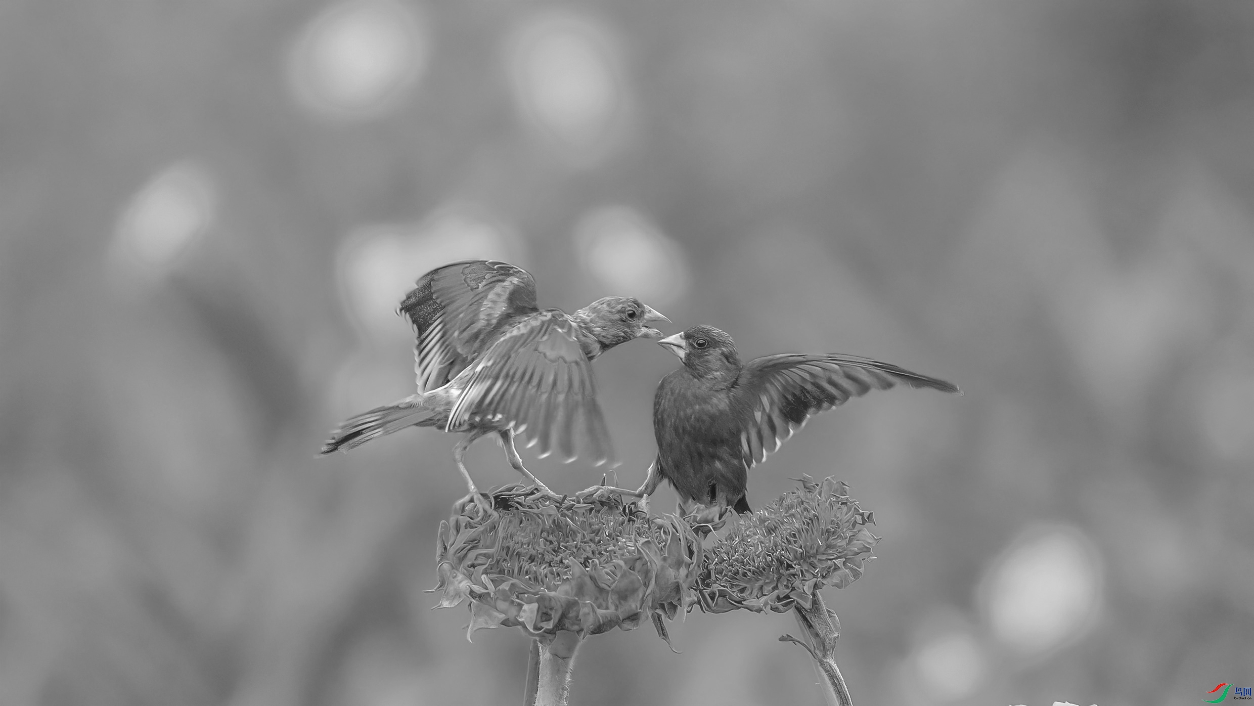 AE1V7005 ����1.jpg