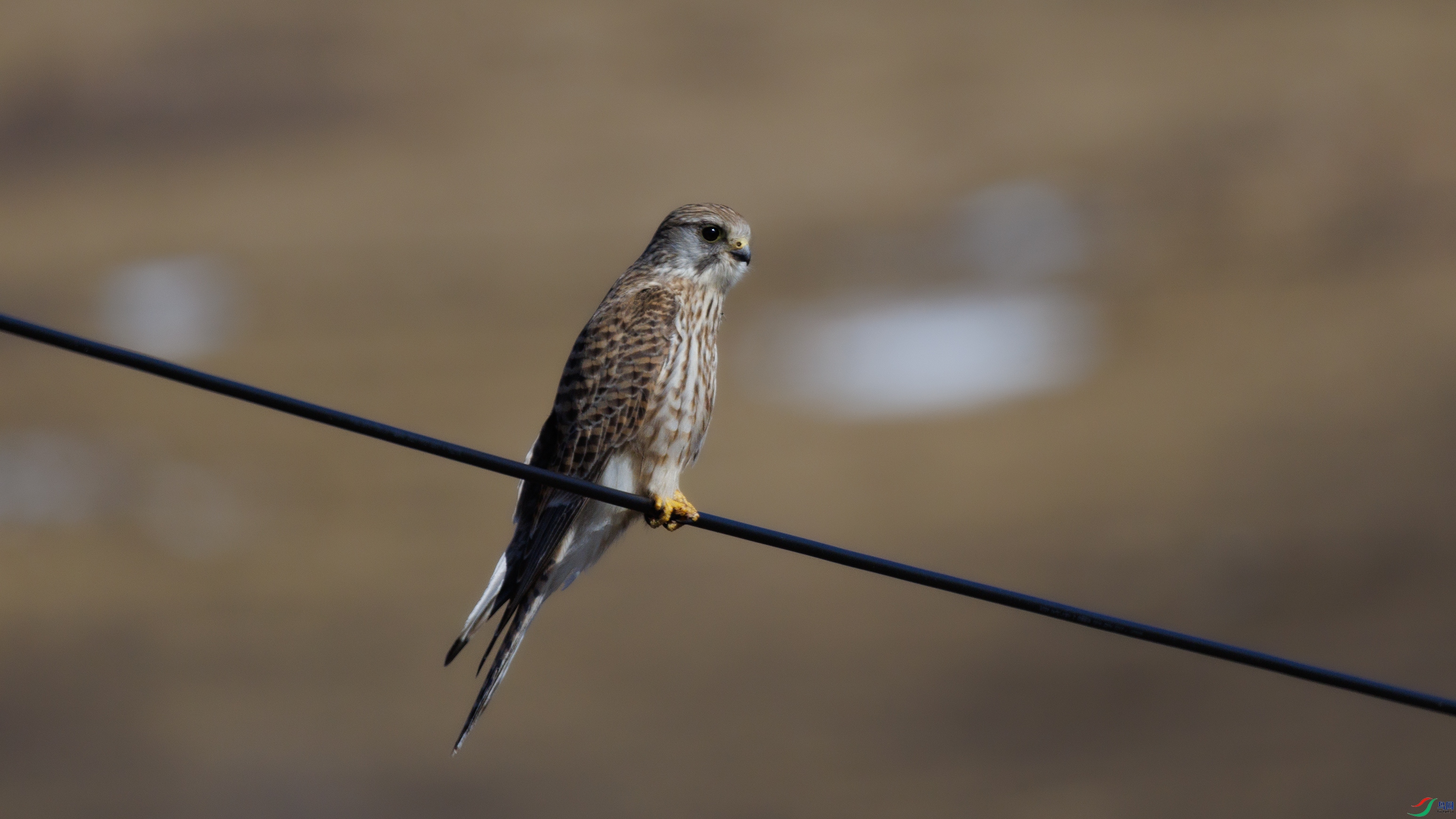 7X5A5533 ����9999.jpg