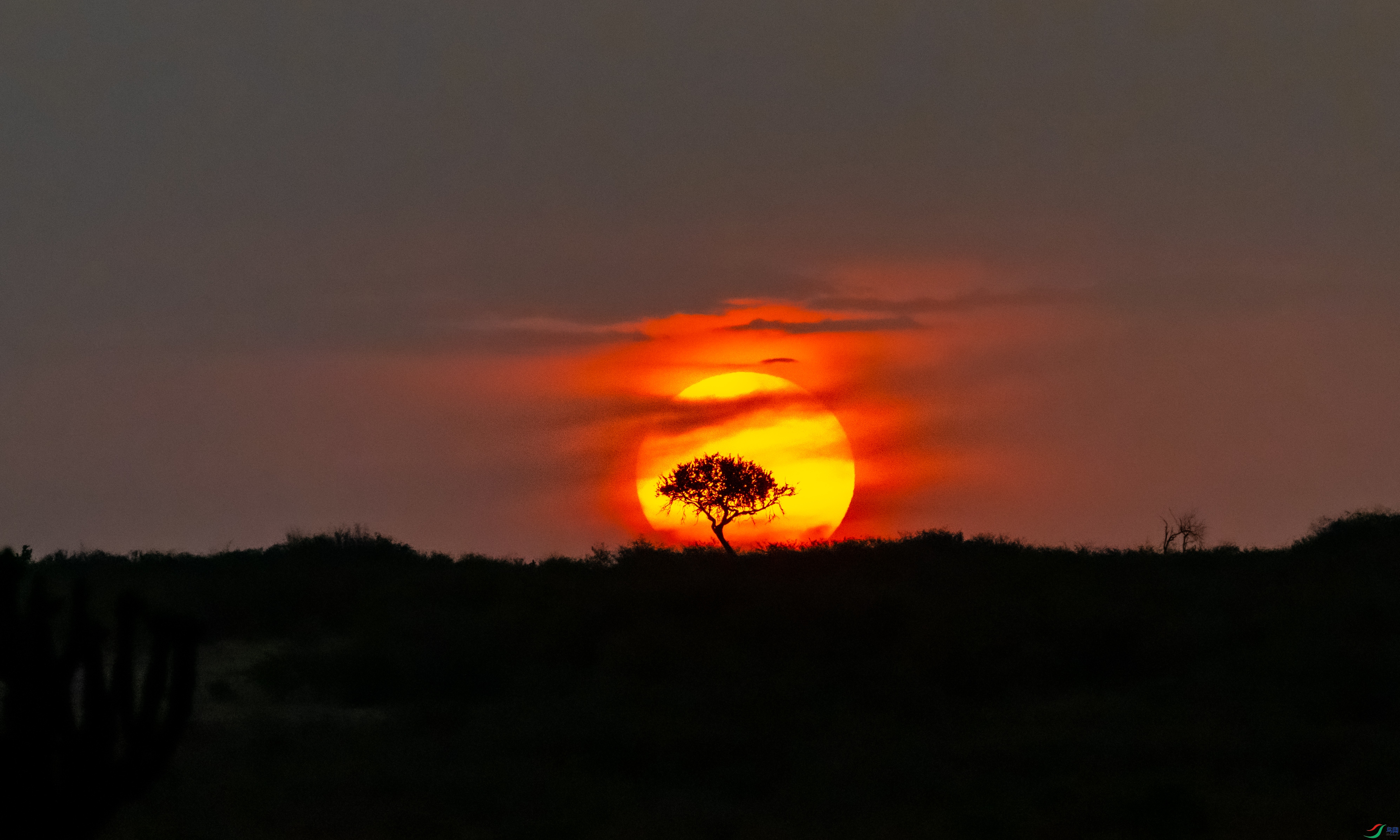 DSC_7607.jpg