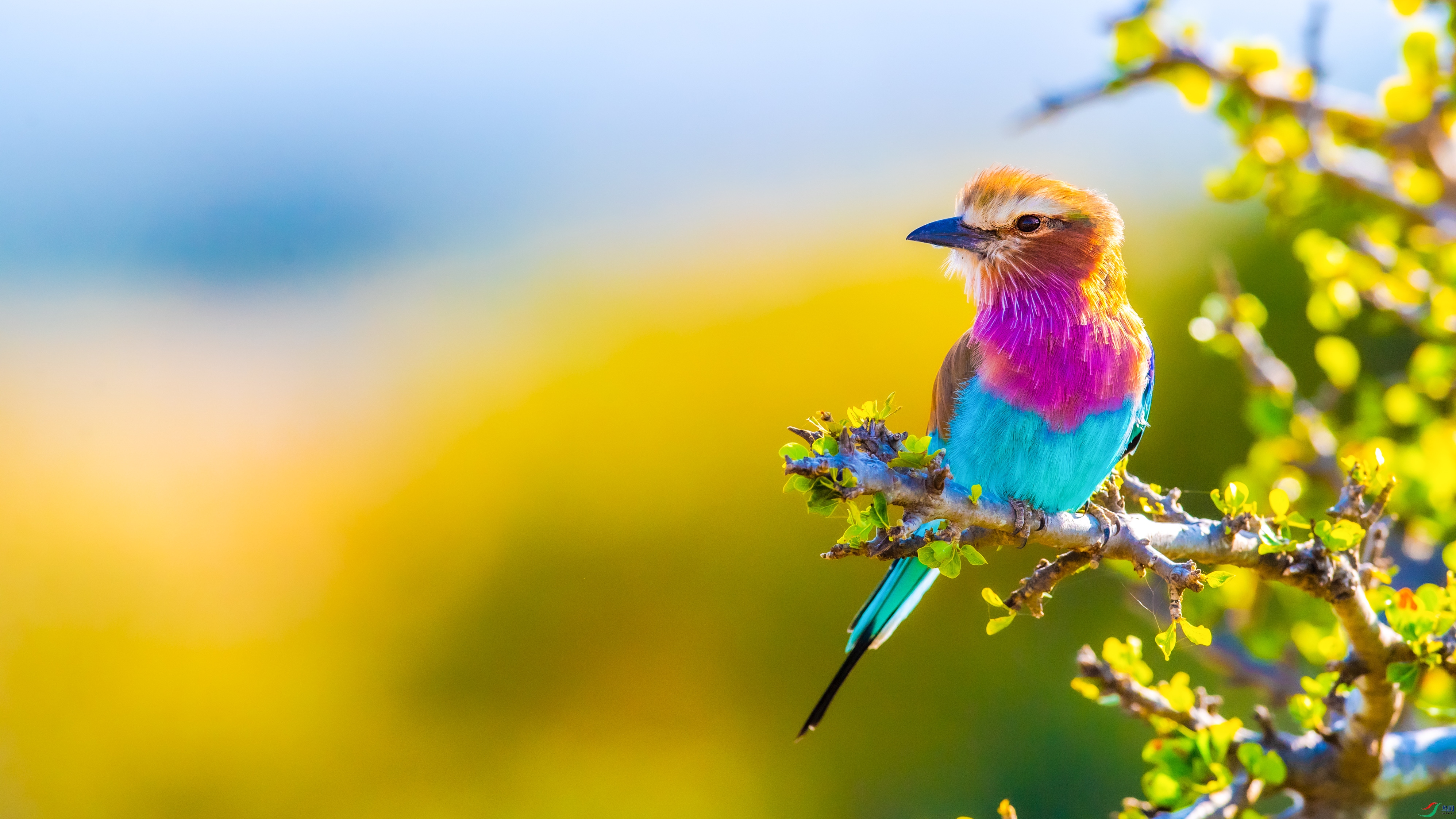 DSC_7044-1.jpg
