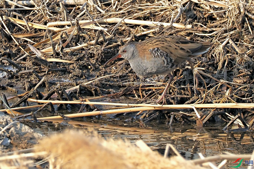 5 ������