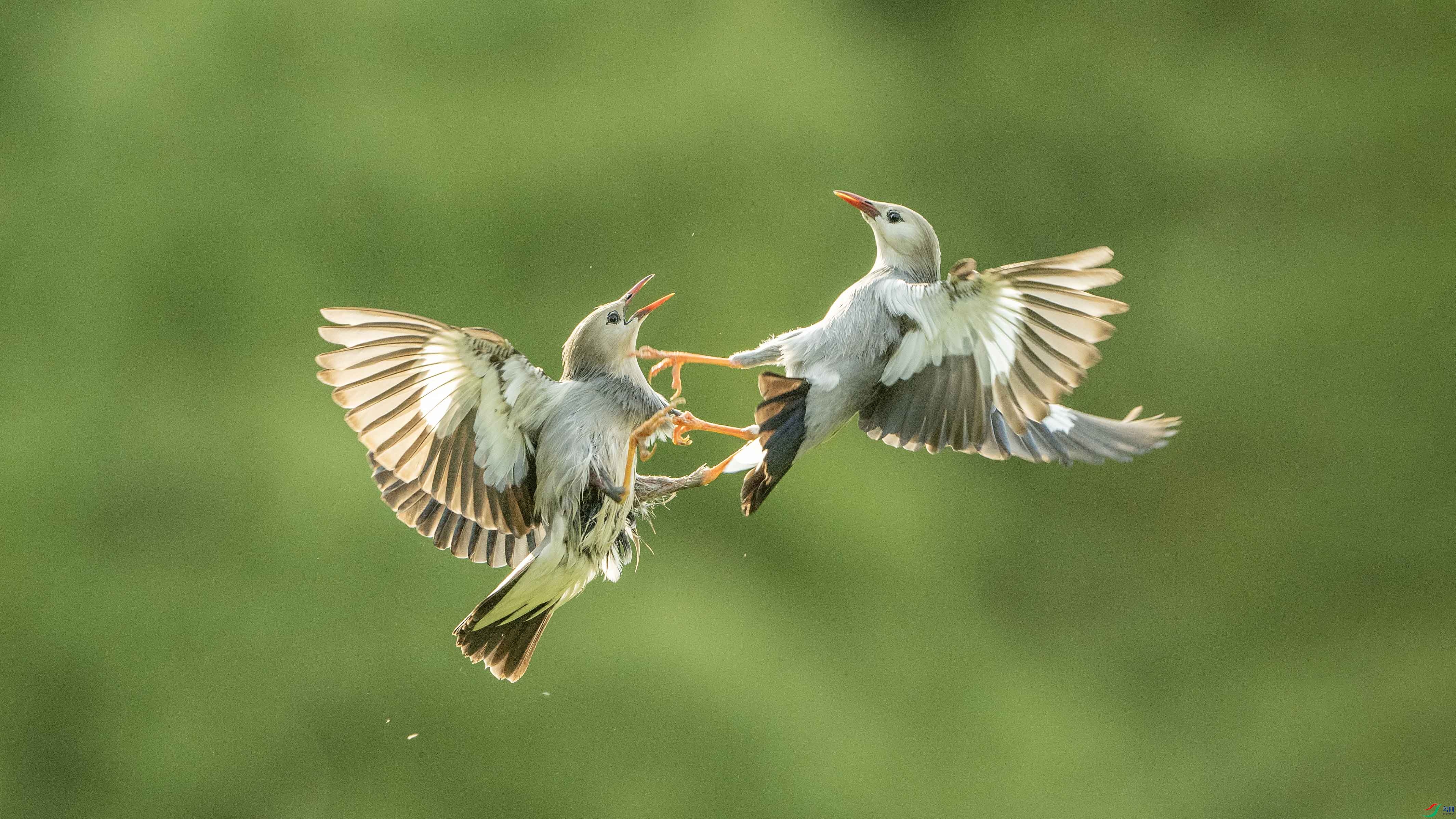 _DSC0692 ���� 2.jpg