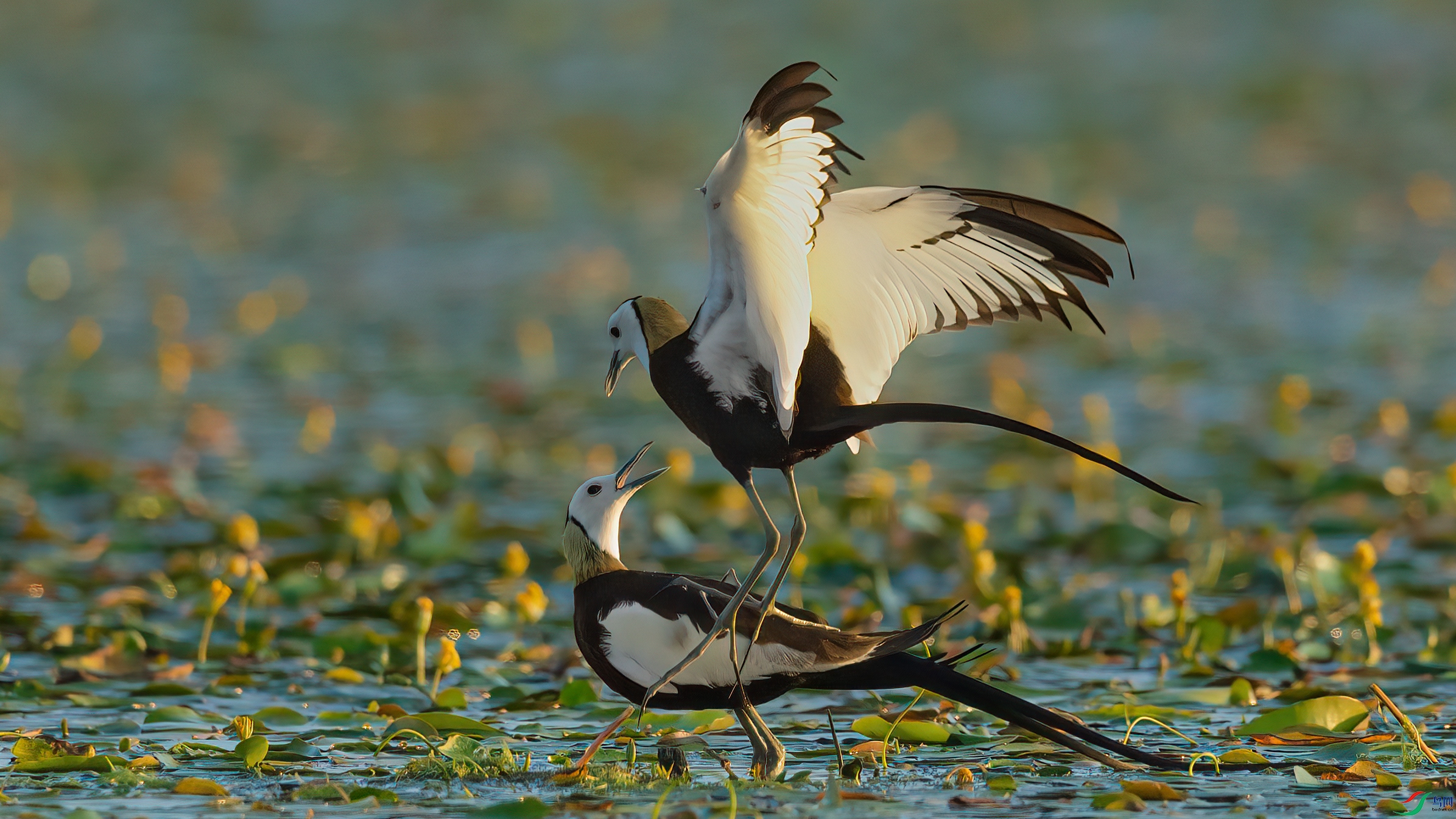 048A6741 ����.jpg