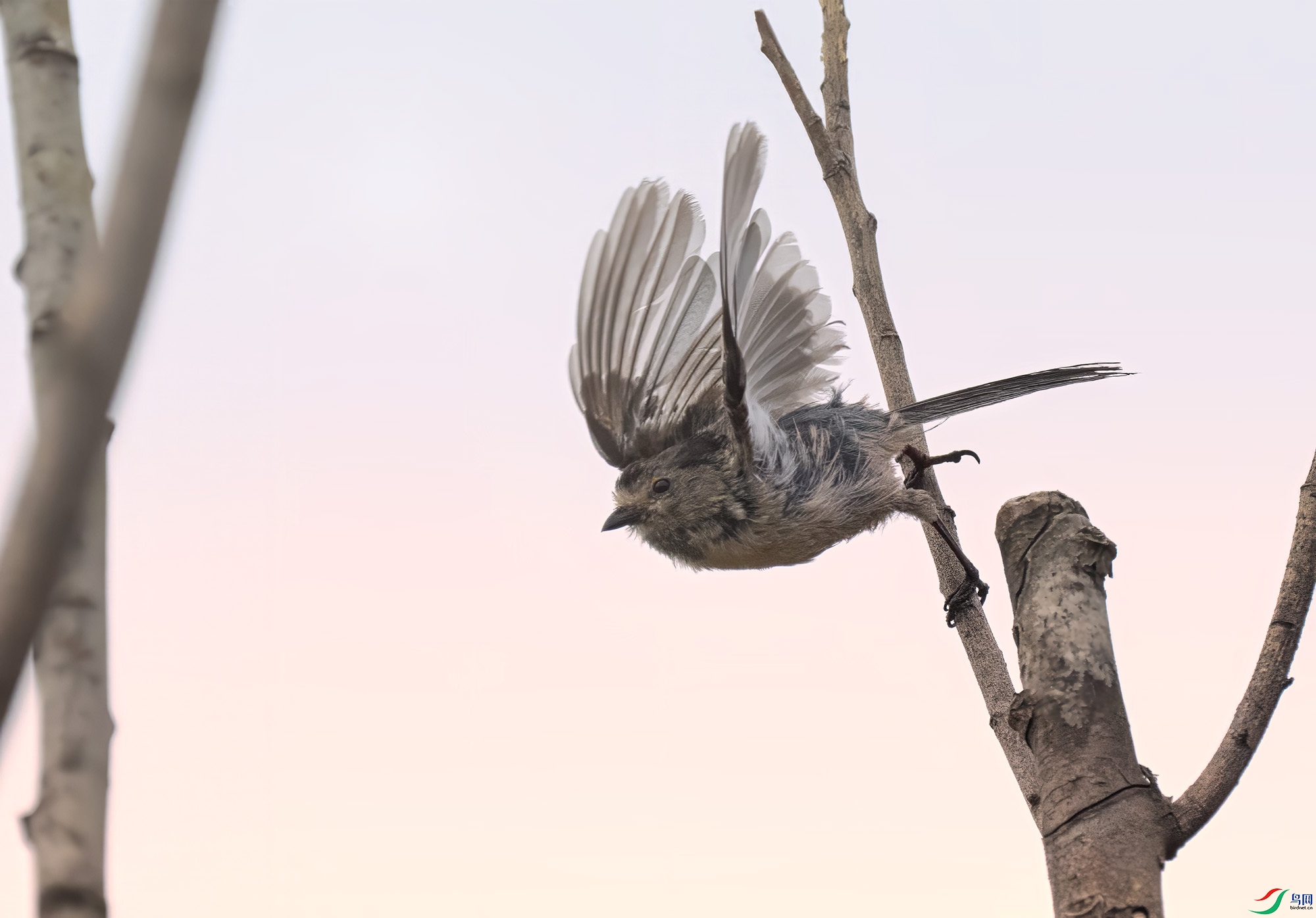 25������β2000 T&amp;L P6102567.jpg