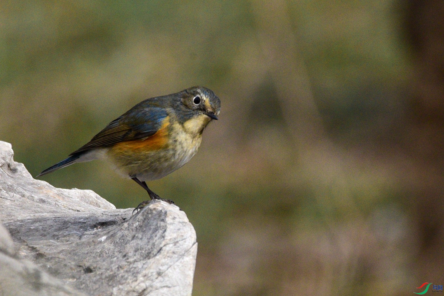 DSC_5322.JPG