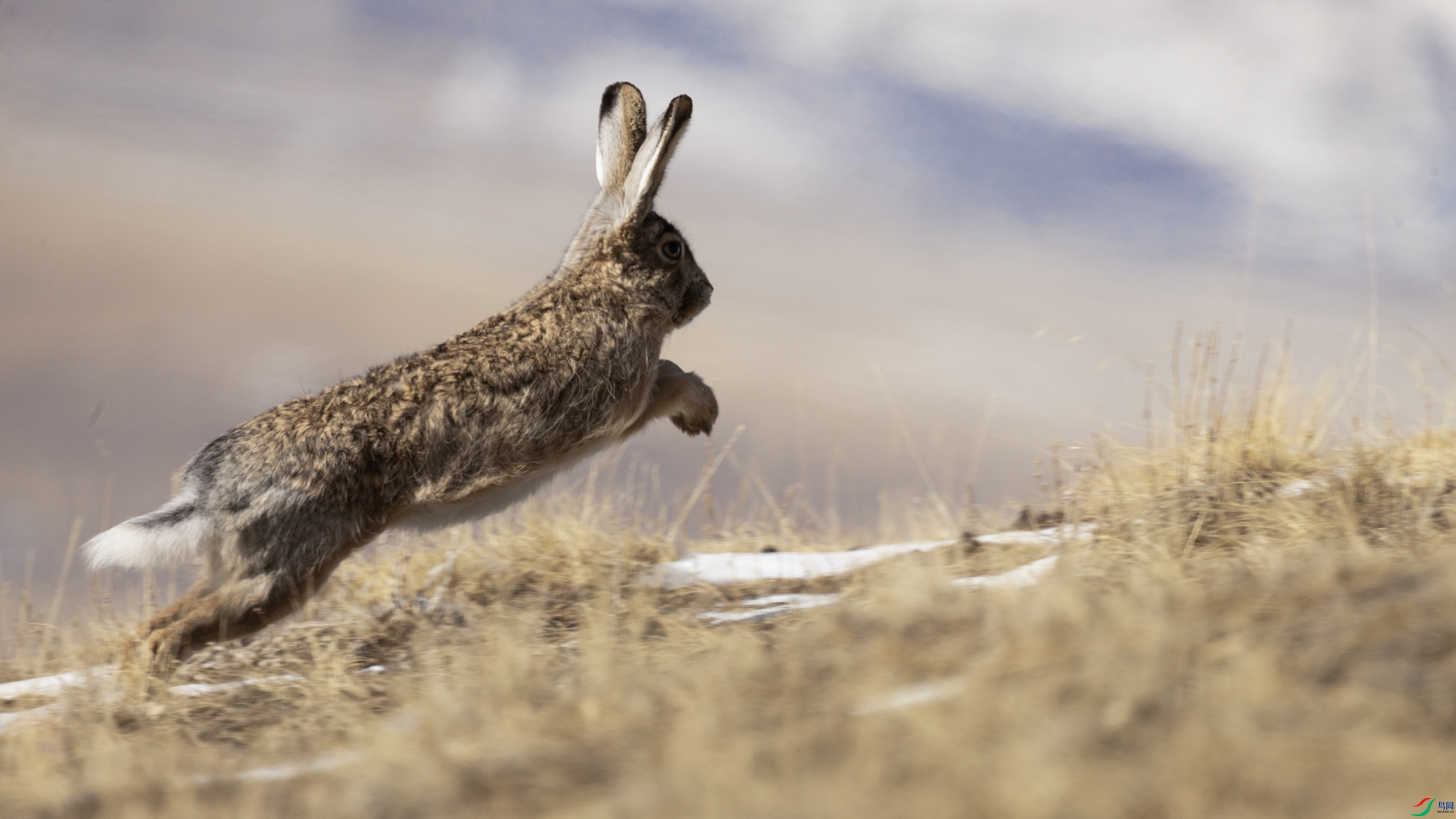 7X5A8196 ����444444.jpg