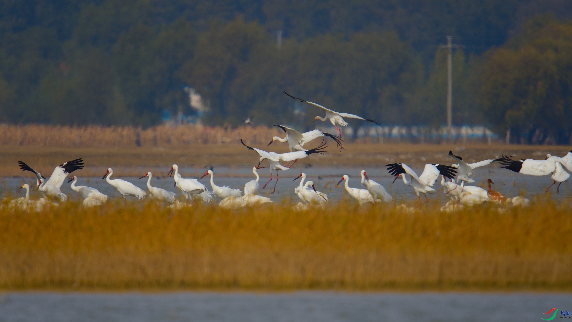 DSC_7560.JPG