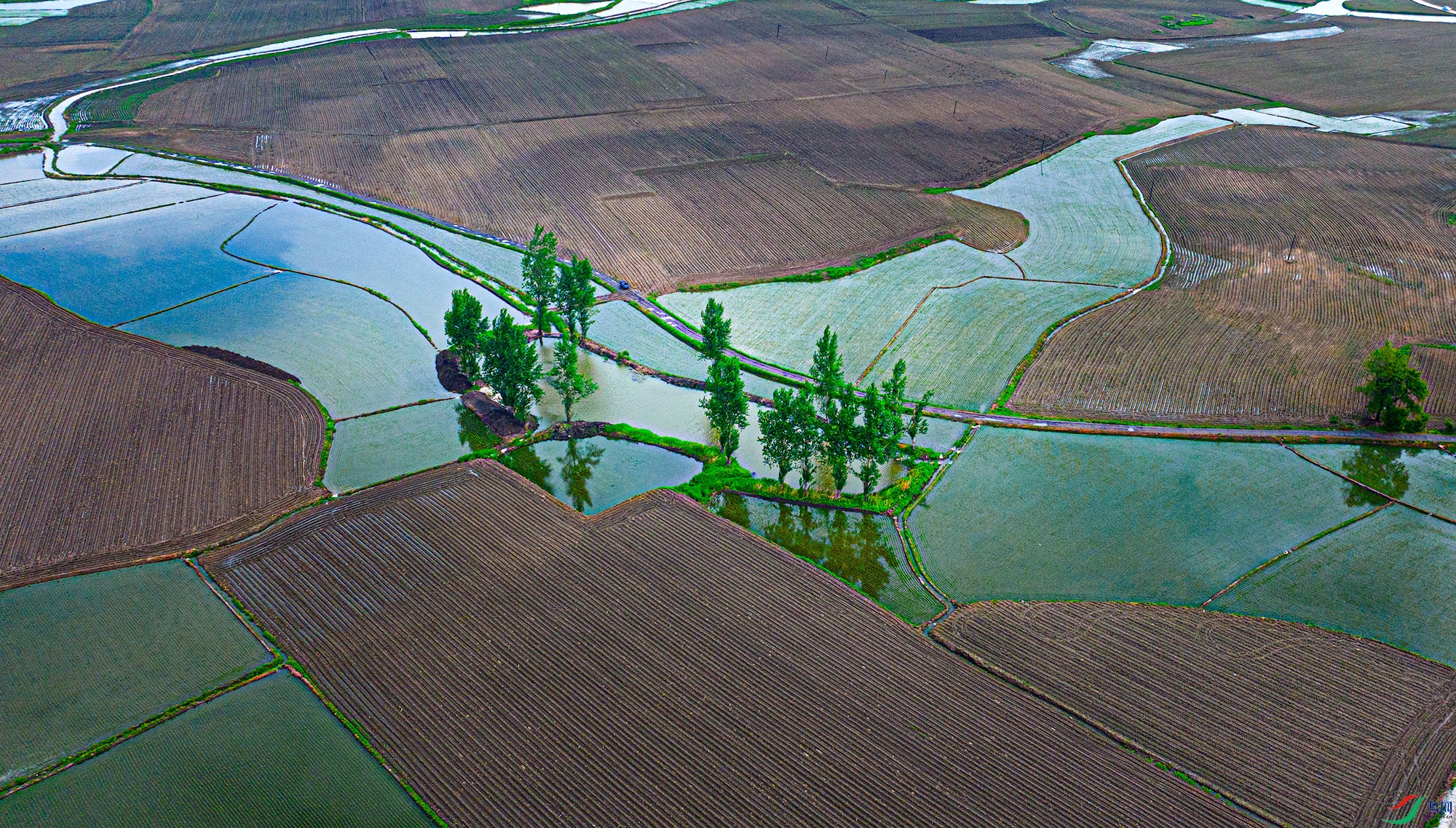 DJI_20250611092218_0213_D.jpg