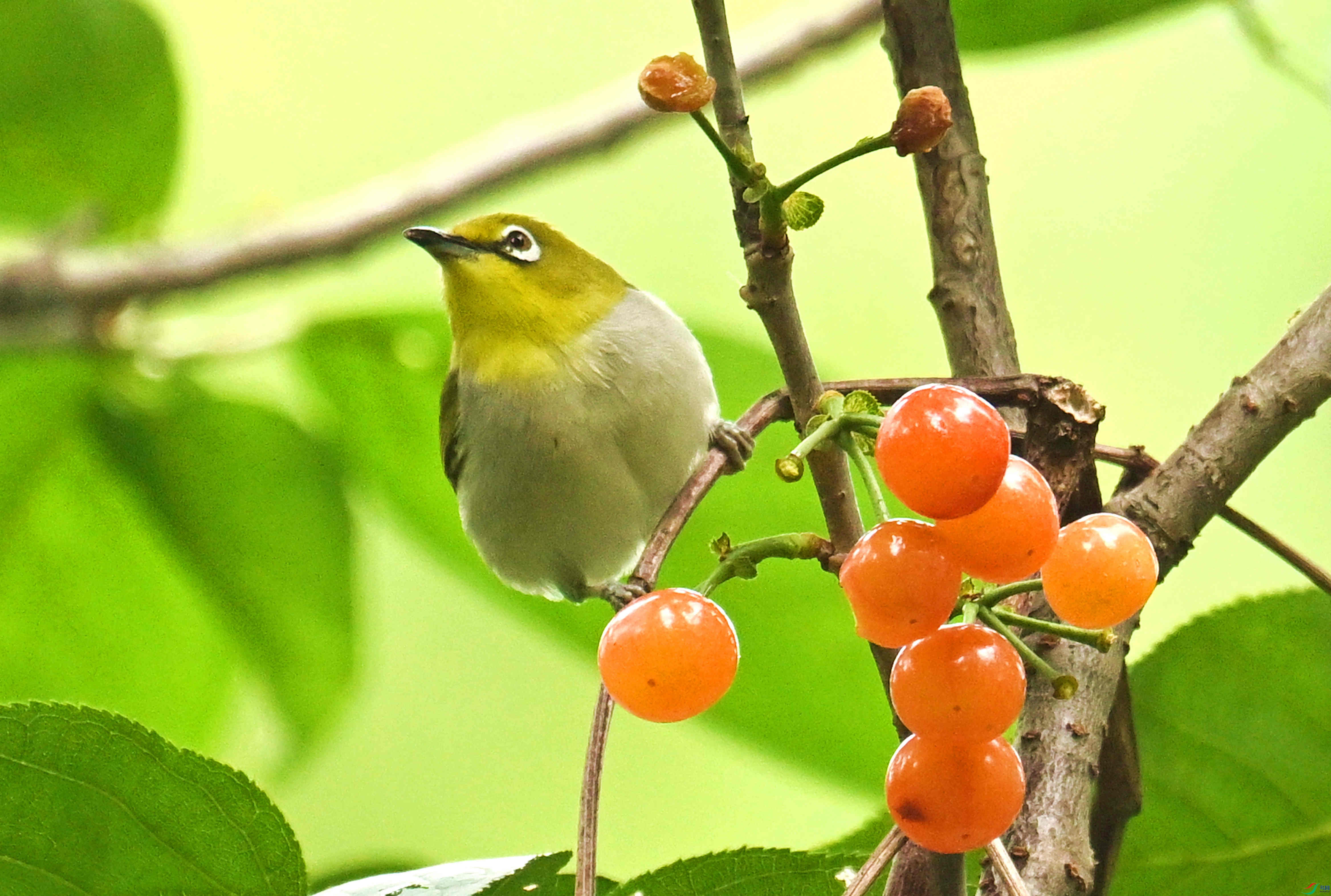 DSC_0193.JPG