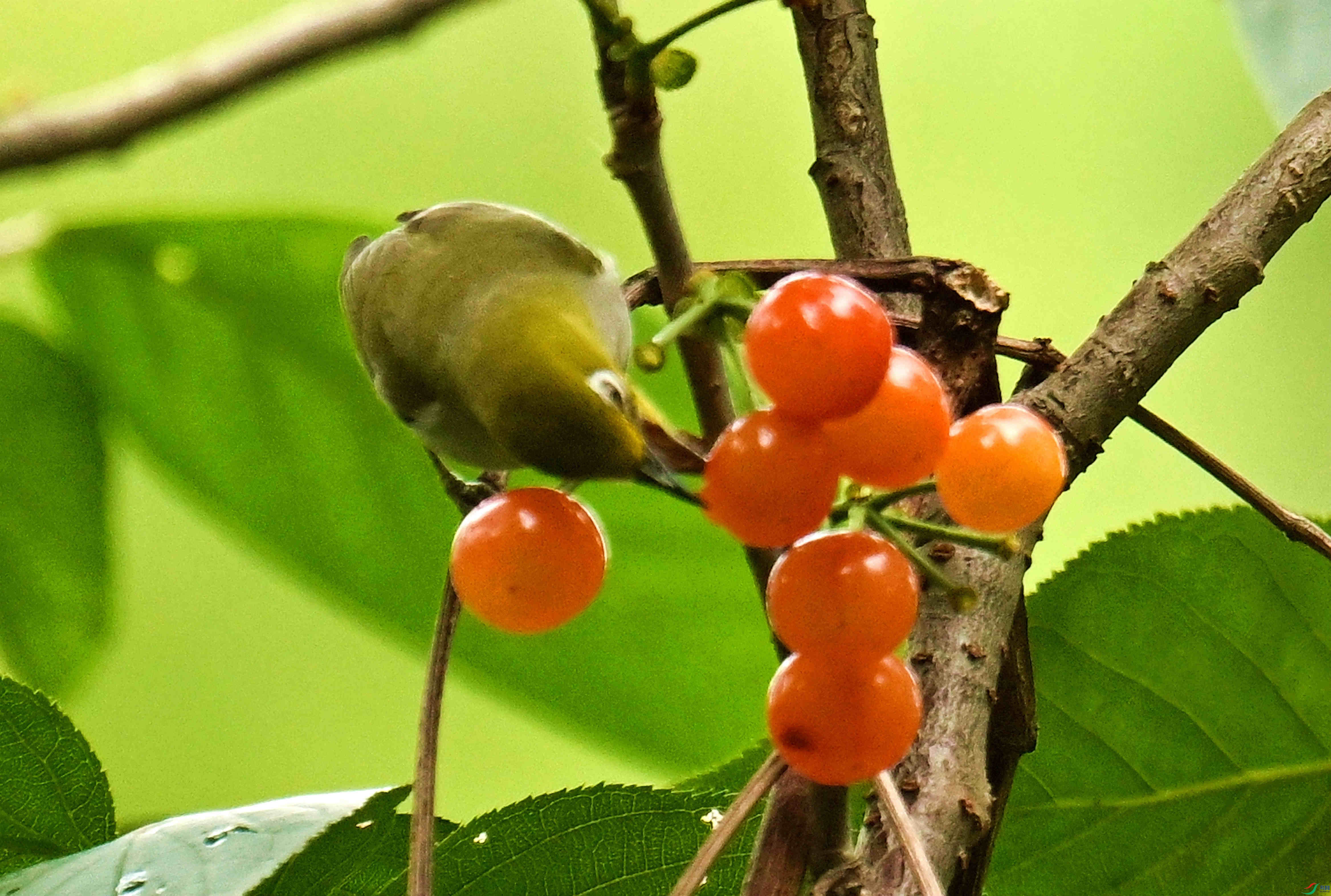 DSC_0148.JPG